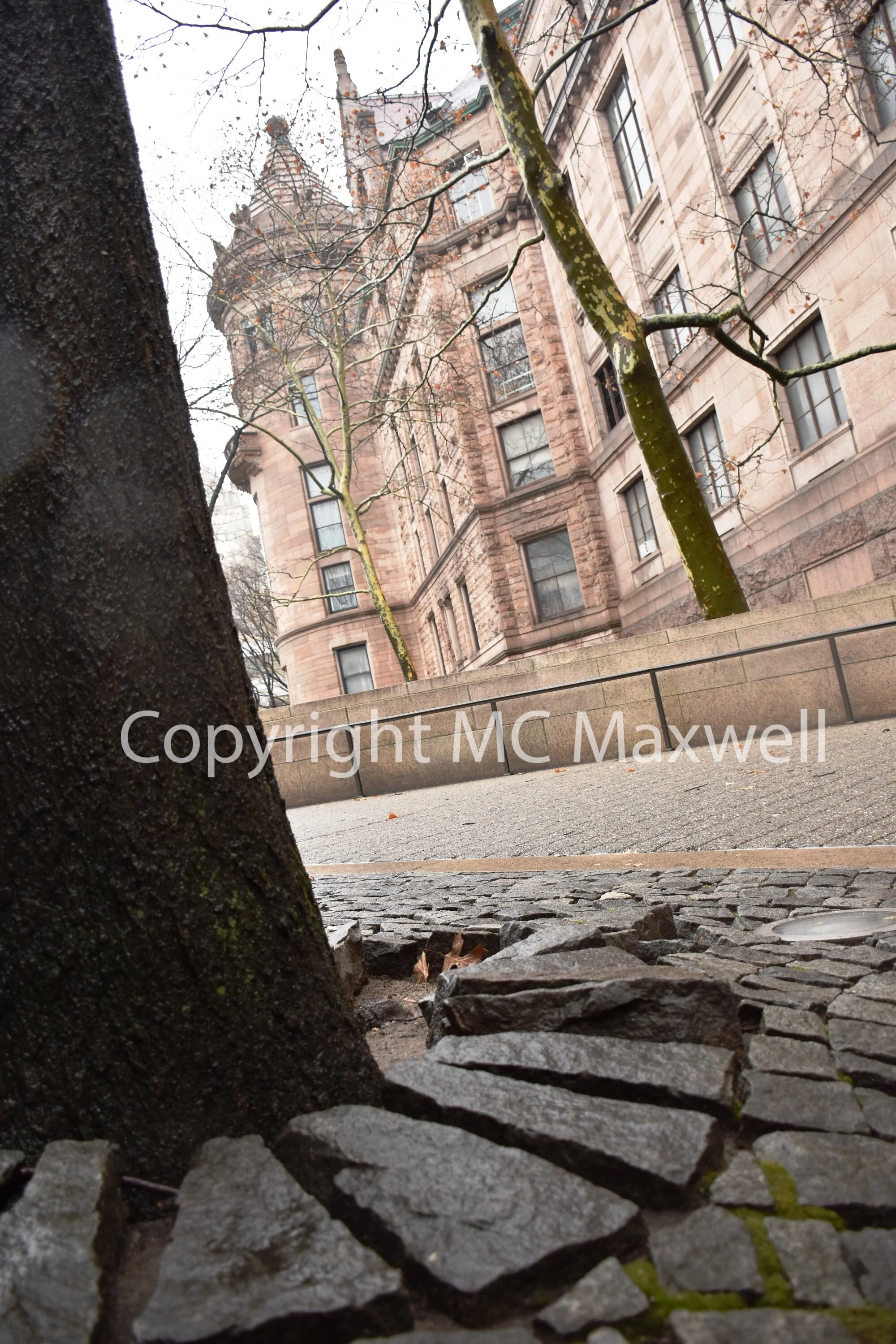 Natural History (NYC)