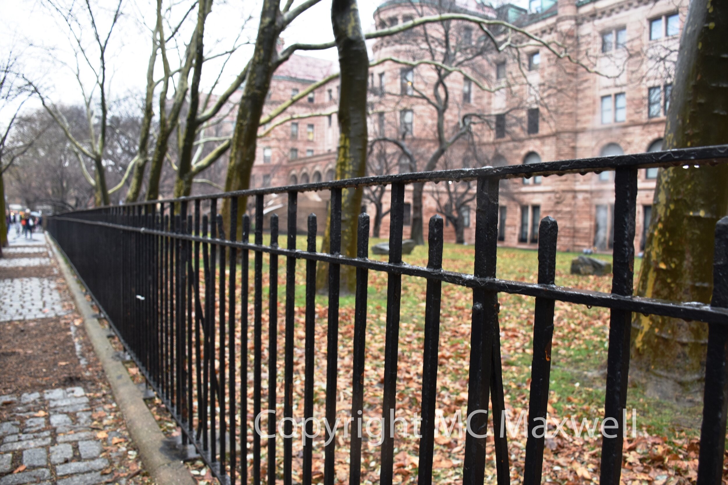Upper West Side, December (NYC)