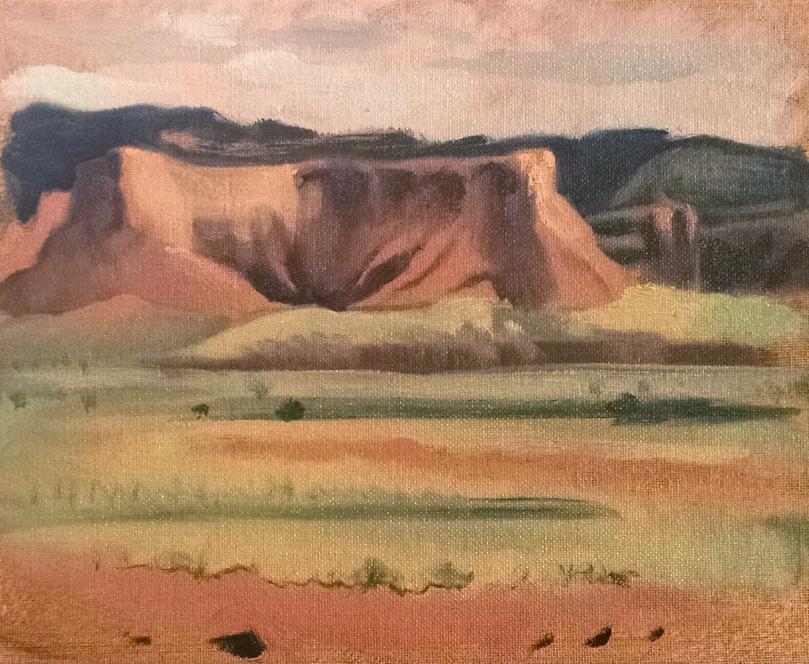Lukachukai 3, Arizona , 8 x 10 in. Oil on canvas. Private collection. (2016)