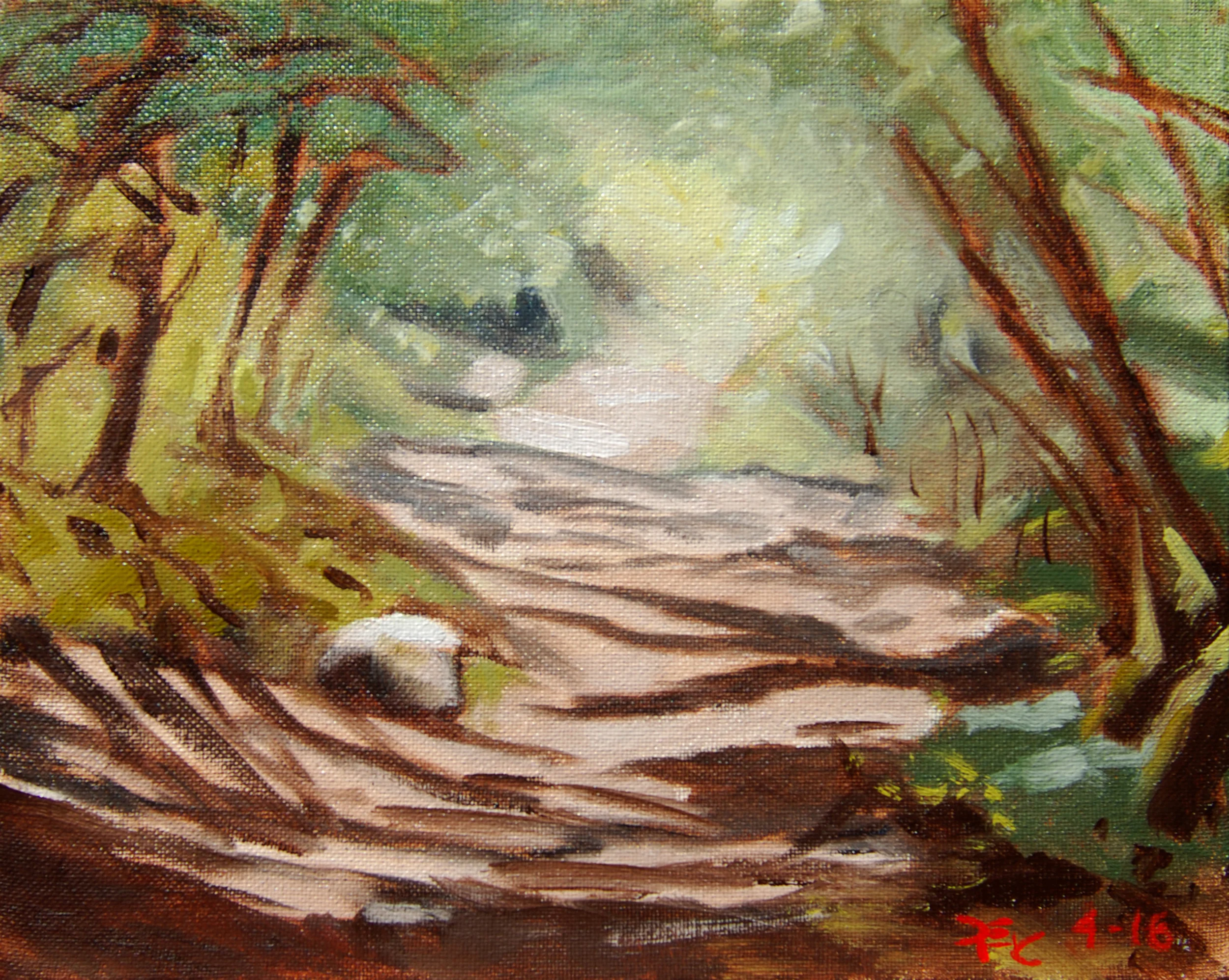 Sunlight on Brandy Creek Trail , 8 x 10 in. Oil on canvas. Available for purchase. (2016)
