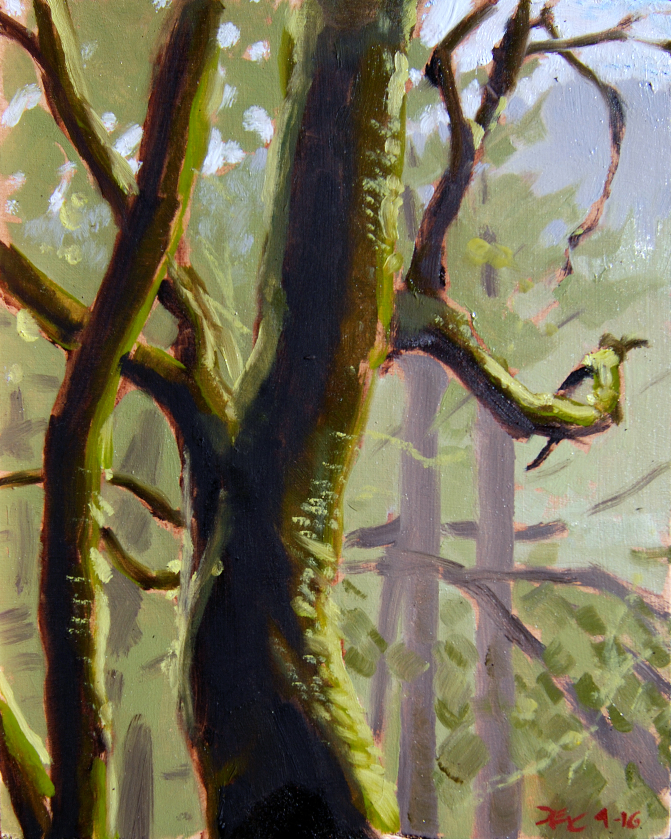 Tree with Moss , 10 x 8 in. Oil on panel. Available for purchase. (2016)