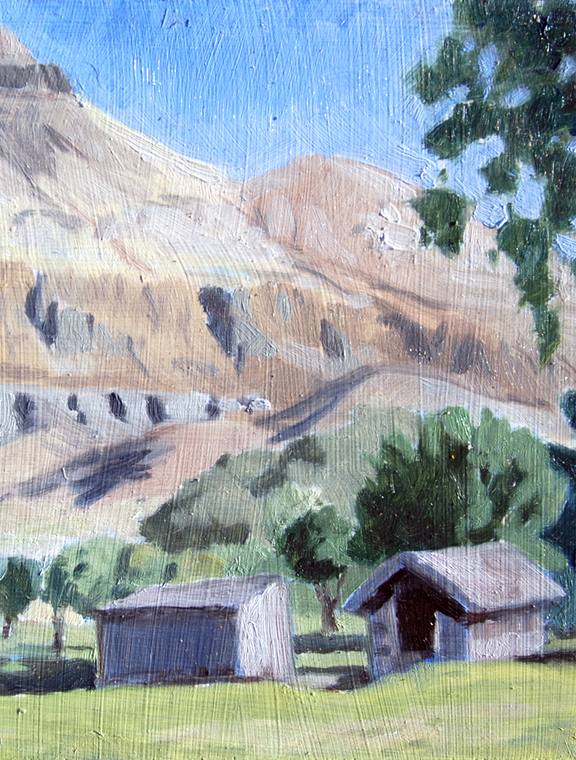  JOHN DAY FOSSIL BEDS, OR 