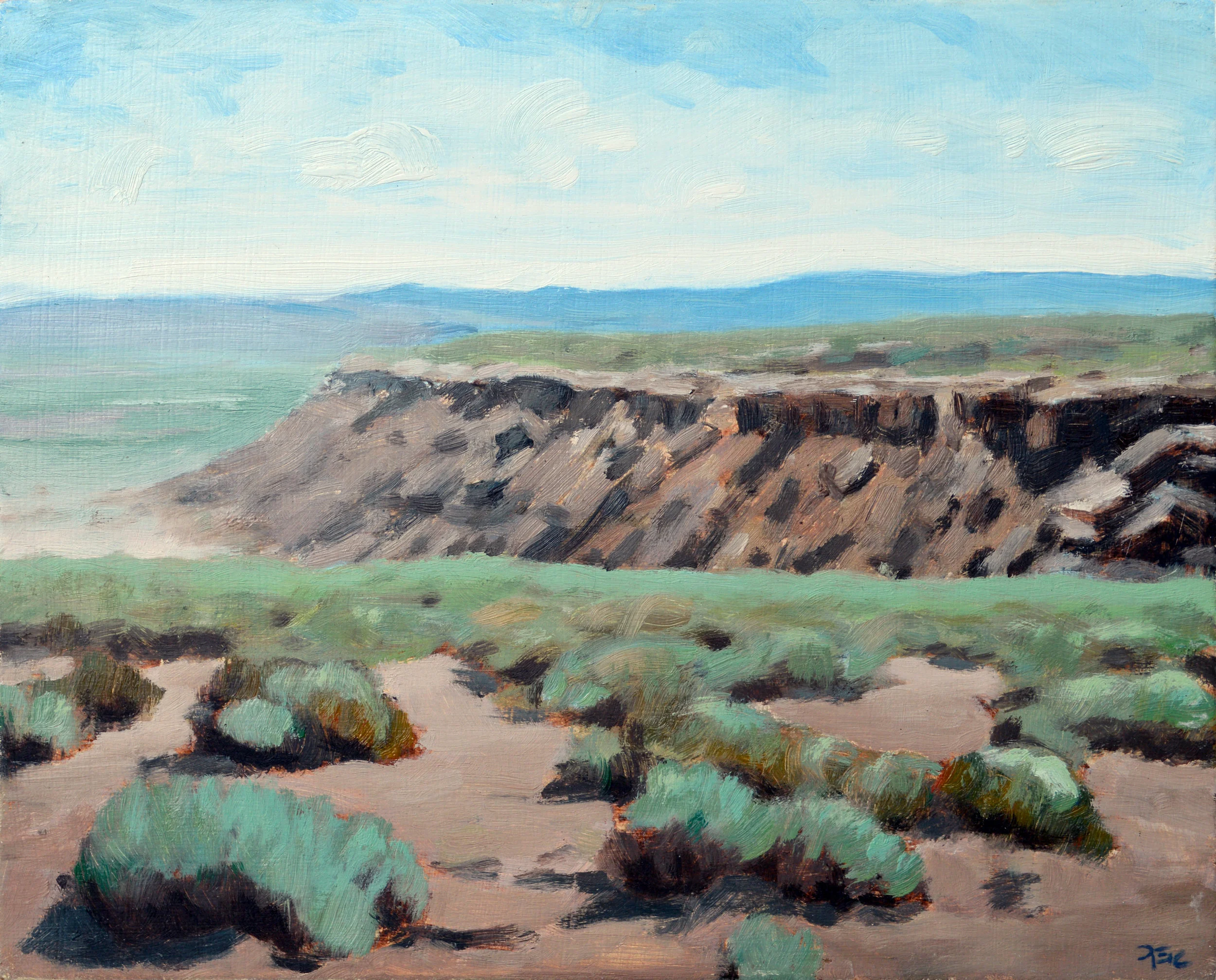 Dead Wash, 8 x 10 in. Oil on panel. Private collection. (2017)