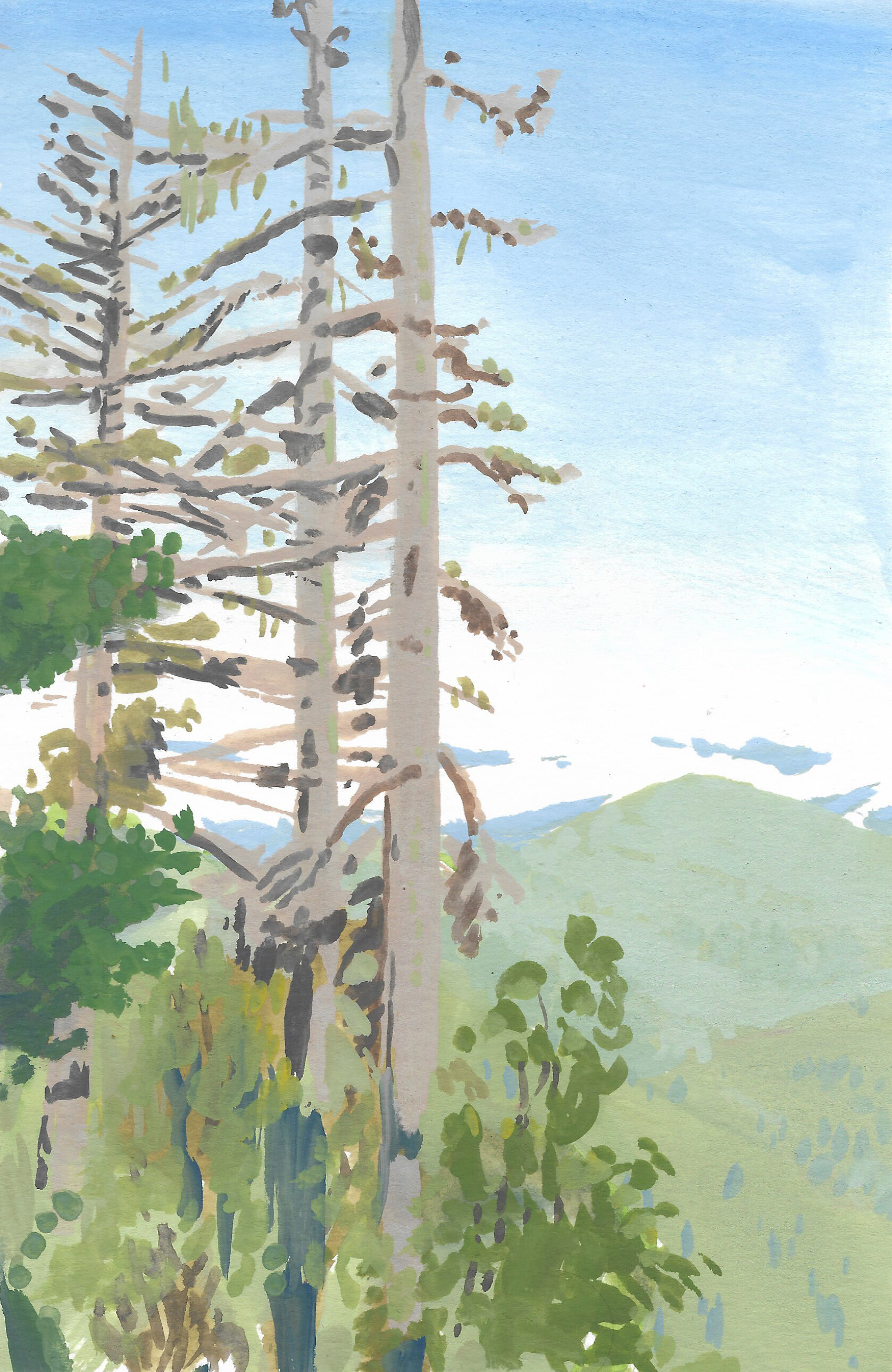  Cliff Nature, Morning mist (2019)  6” x 4” — gouache on paper  Available for purchase.  