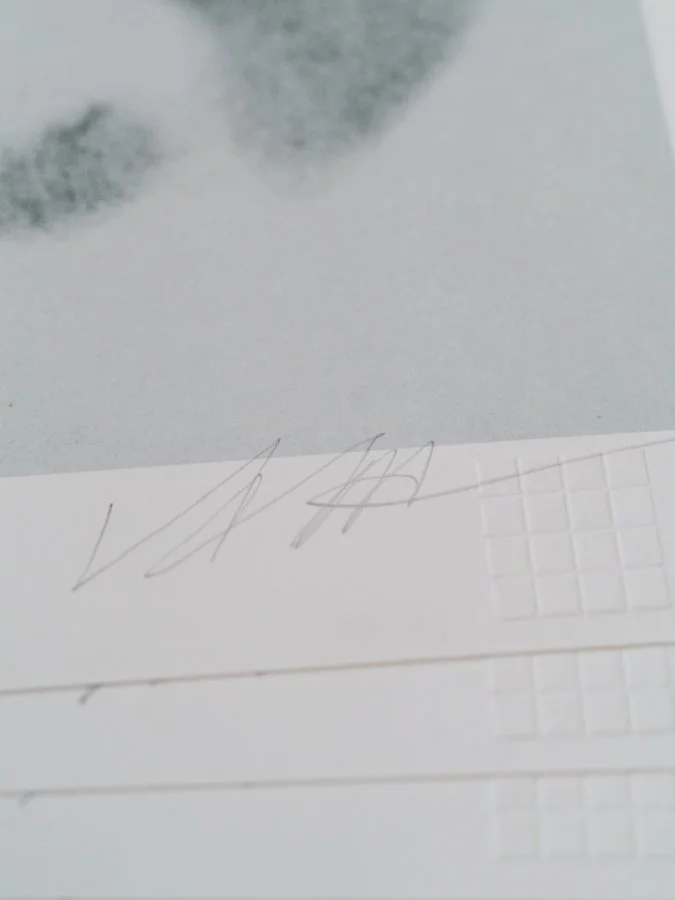 Vis-à-vis 5 DSC00905.jpg