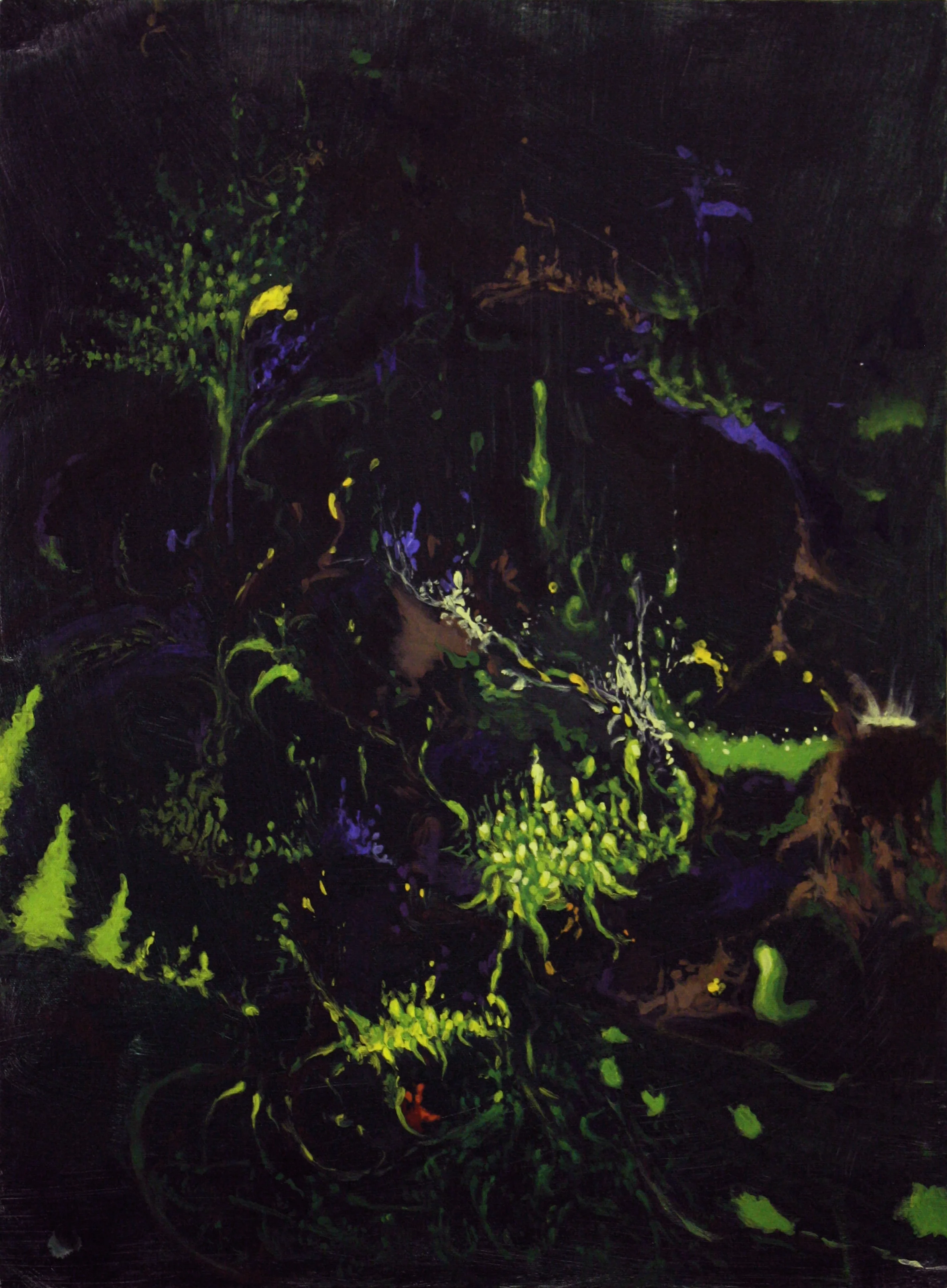 Forest Rumors II