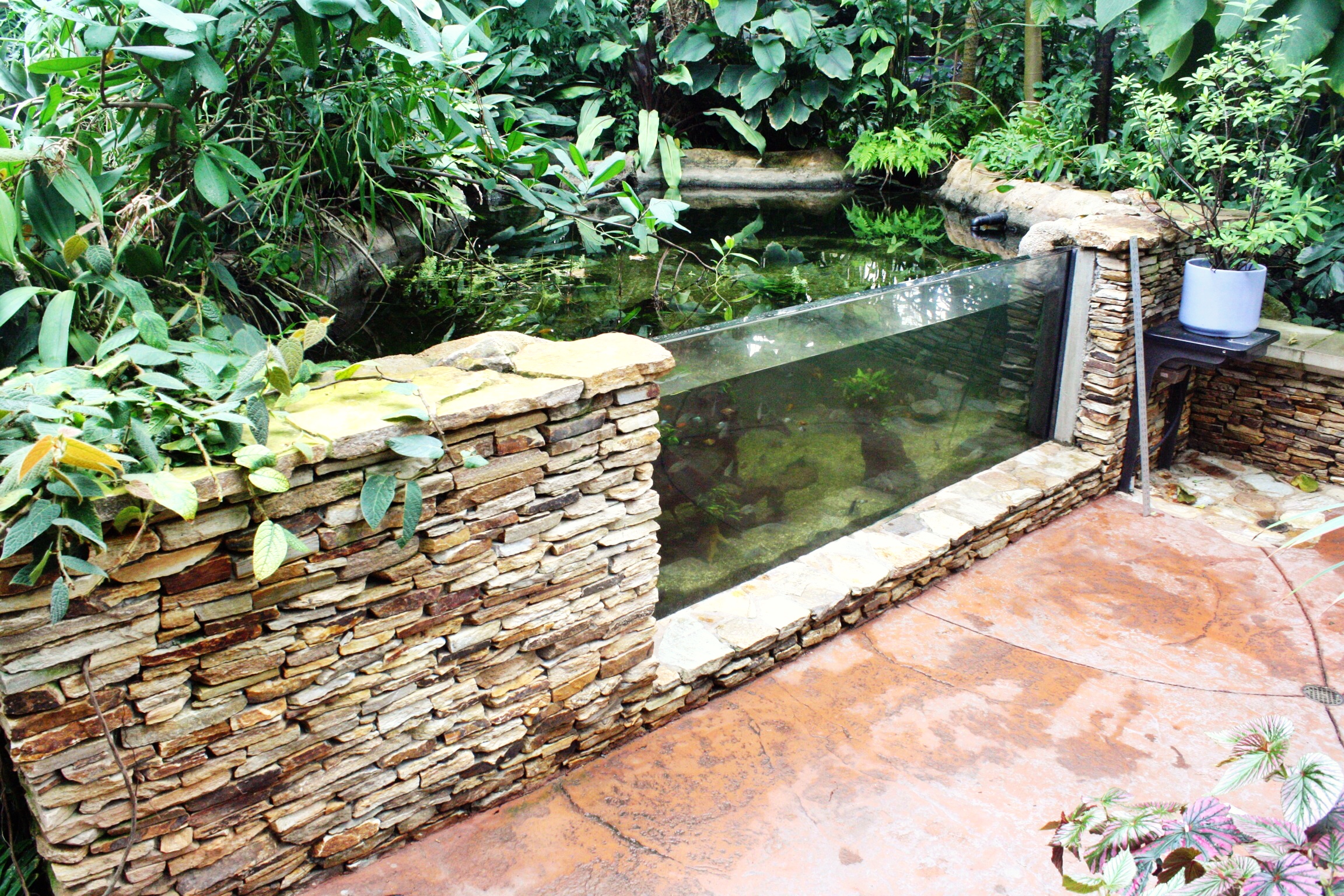 Pond - Before 2.jpg