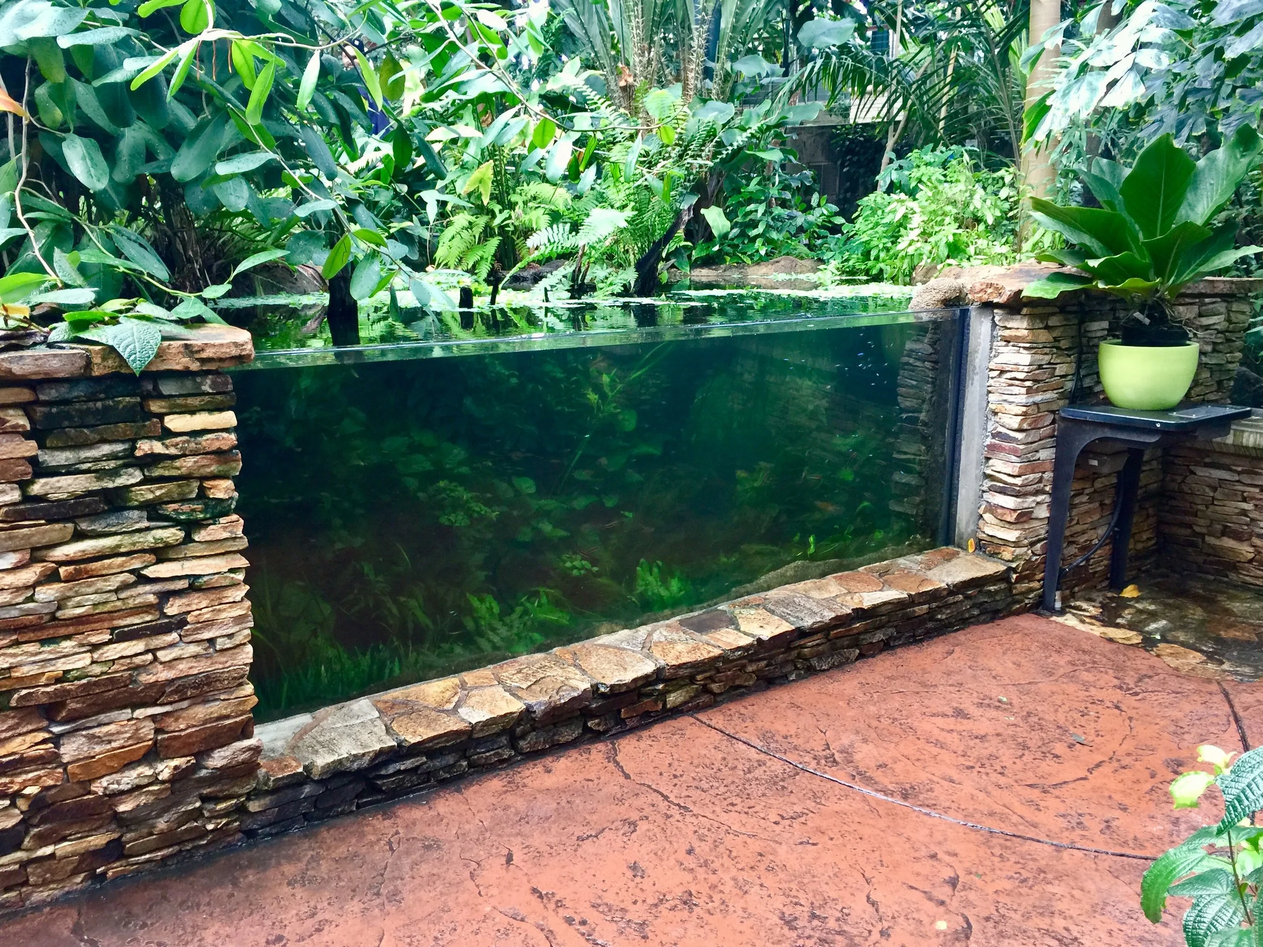 Can You Count the Fish? 