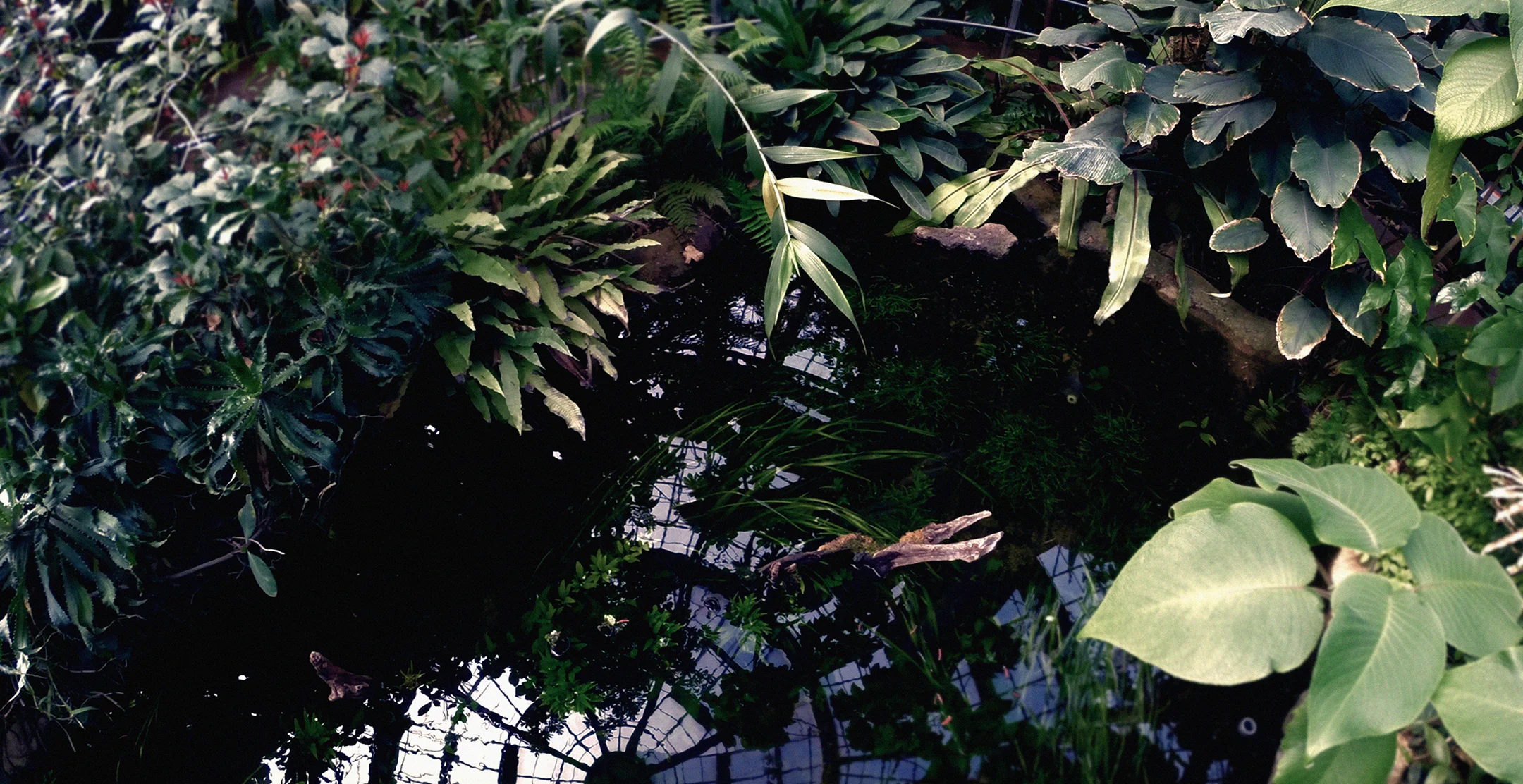 Tetrascape_Photo_01.jpg