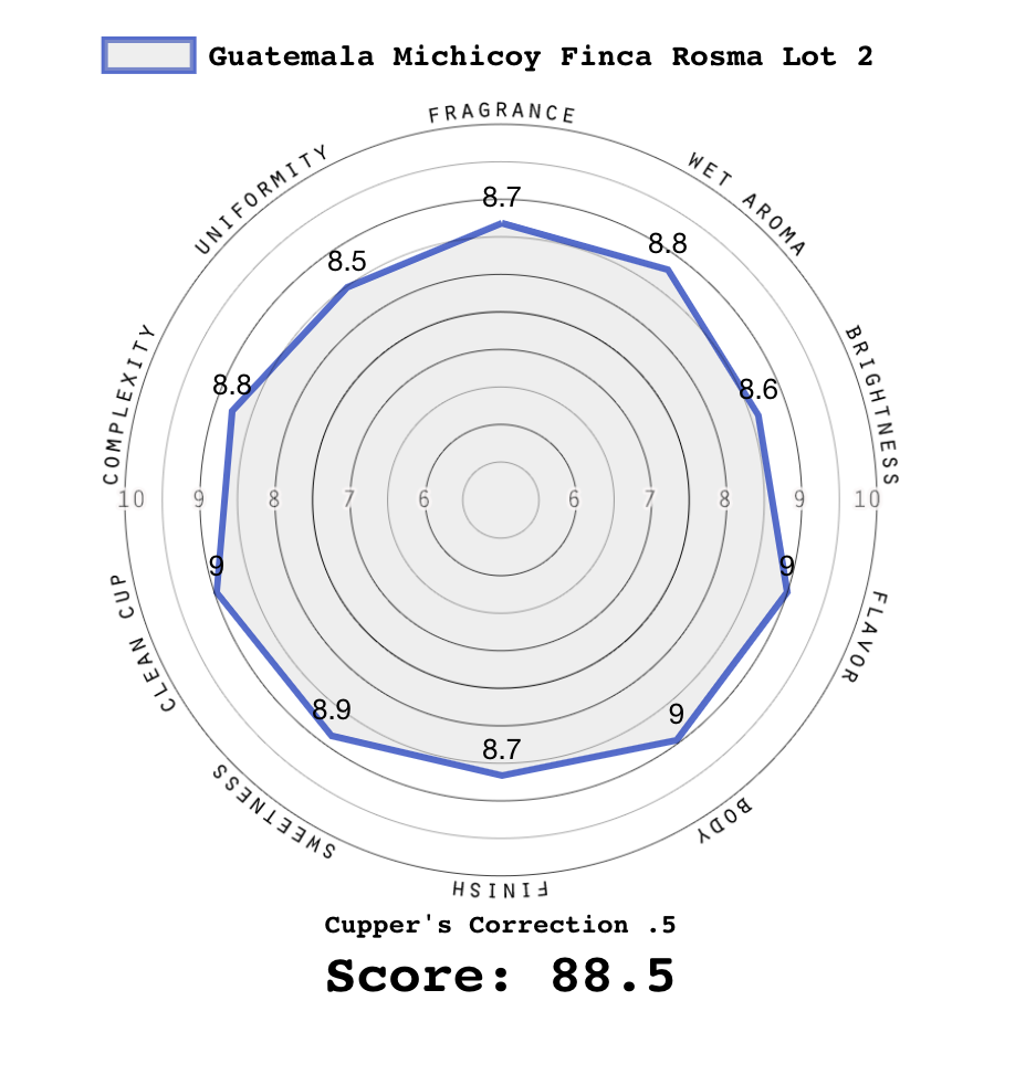 Screen Shot 2024-06-06 at 12.20.44 PM.png