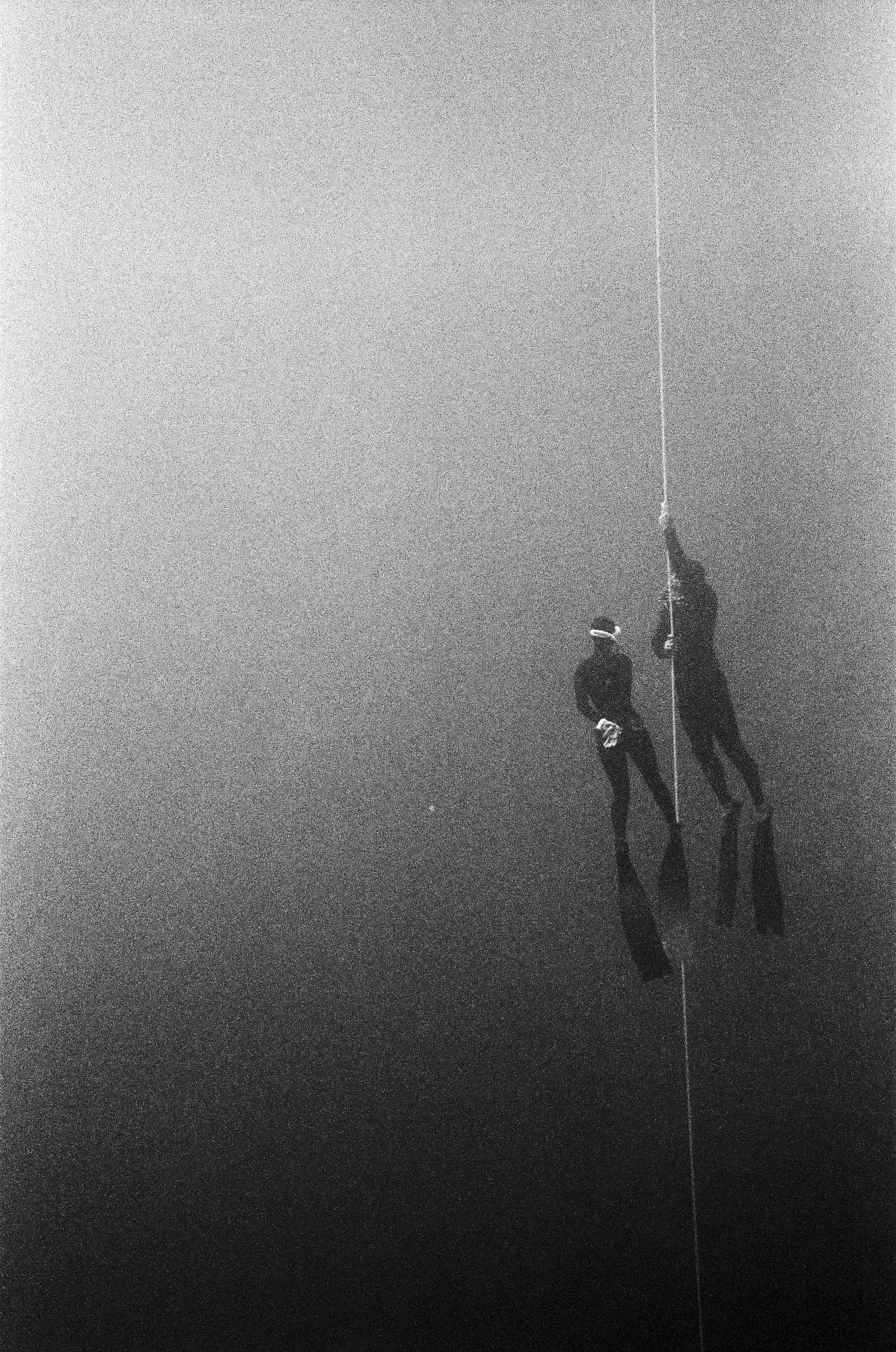 Dahab_underwater_may_jun_24_0325.jpg