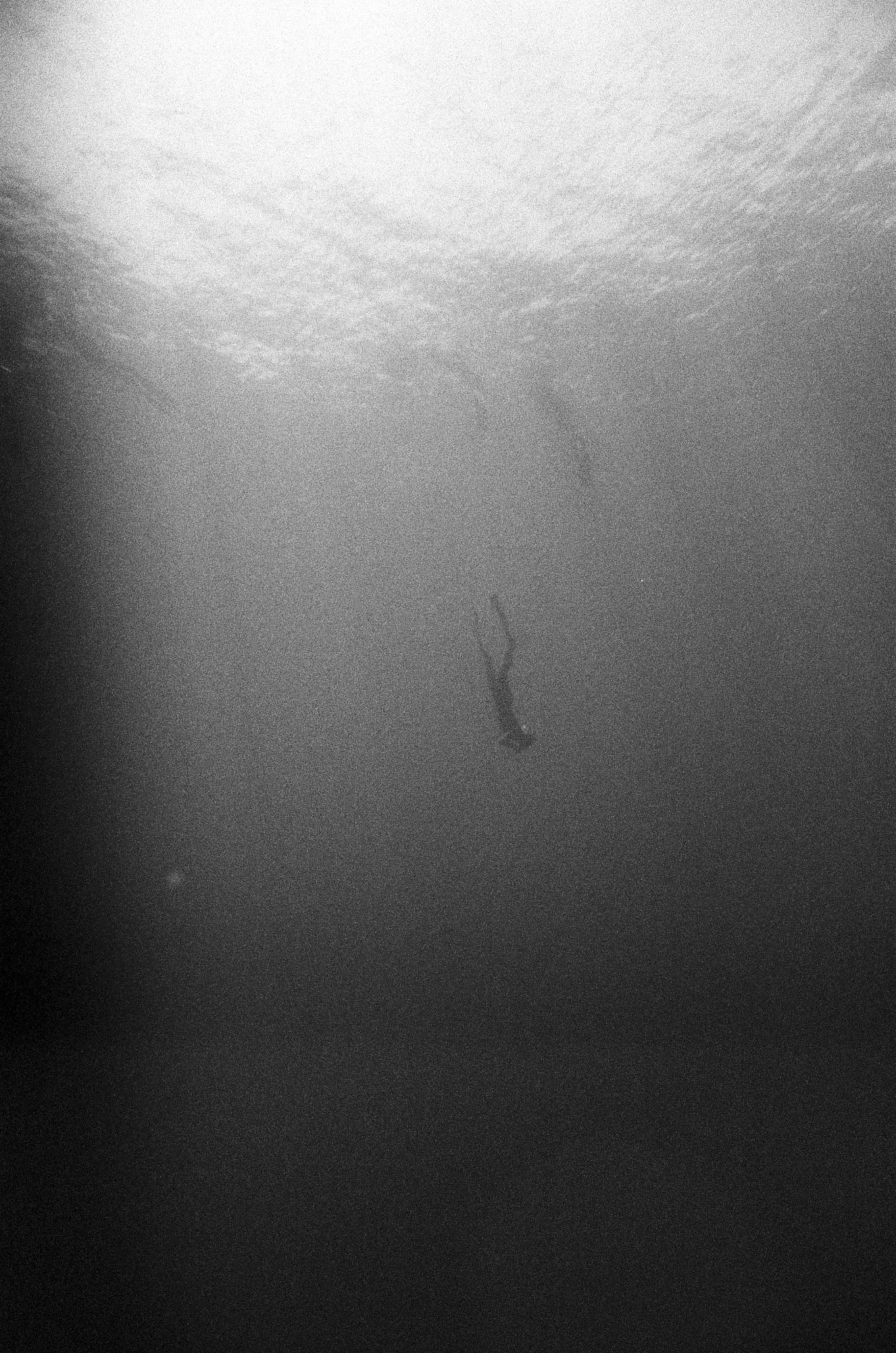 Dahab_underwater_may_jun_24_0875.jpg