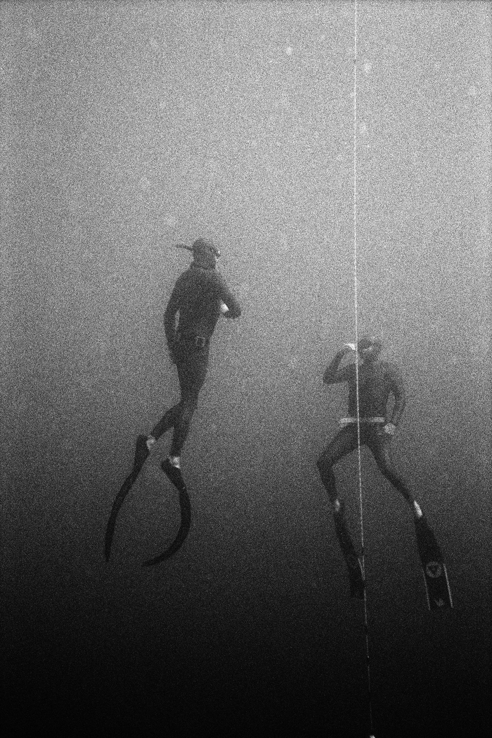 PEDRO_MERGULHO_15_P20_PRBaryta_Gray_120x80 copy.jpg