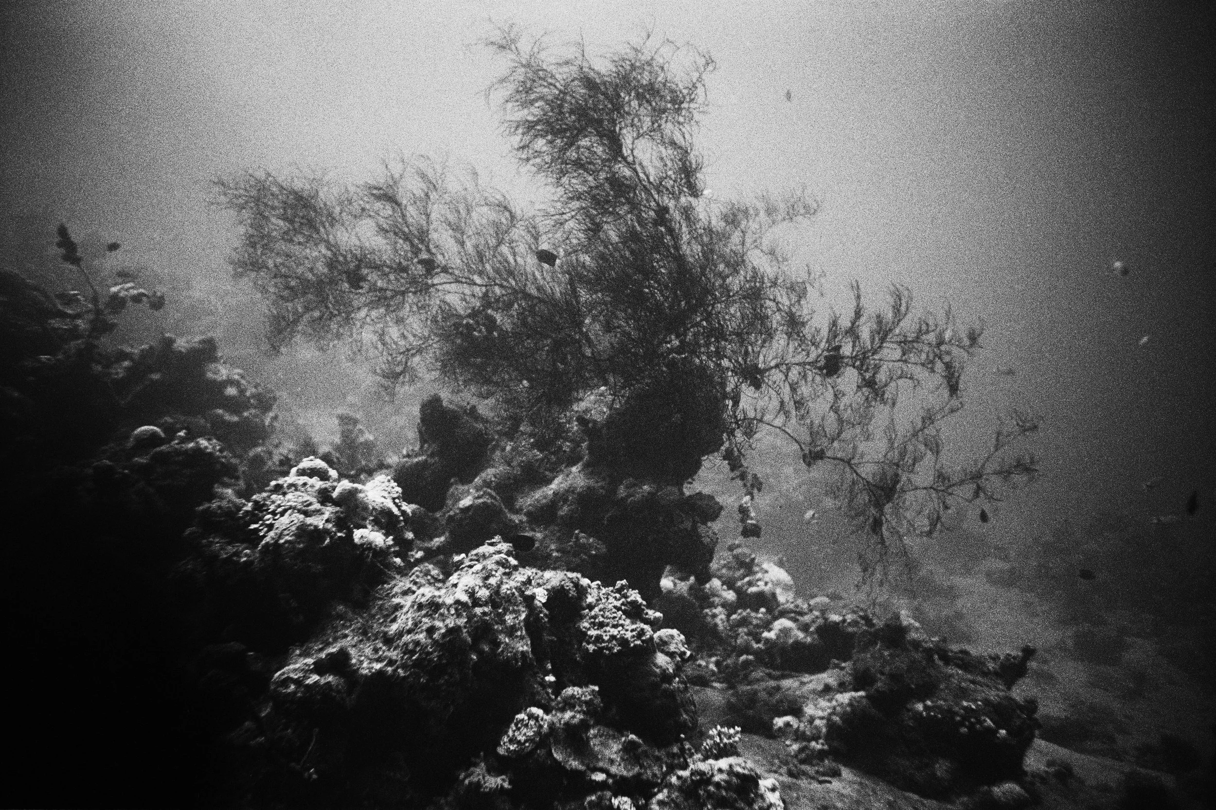 PA_071125 002_P20_PRBaryta_Gray_120x80cm copy.jpg