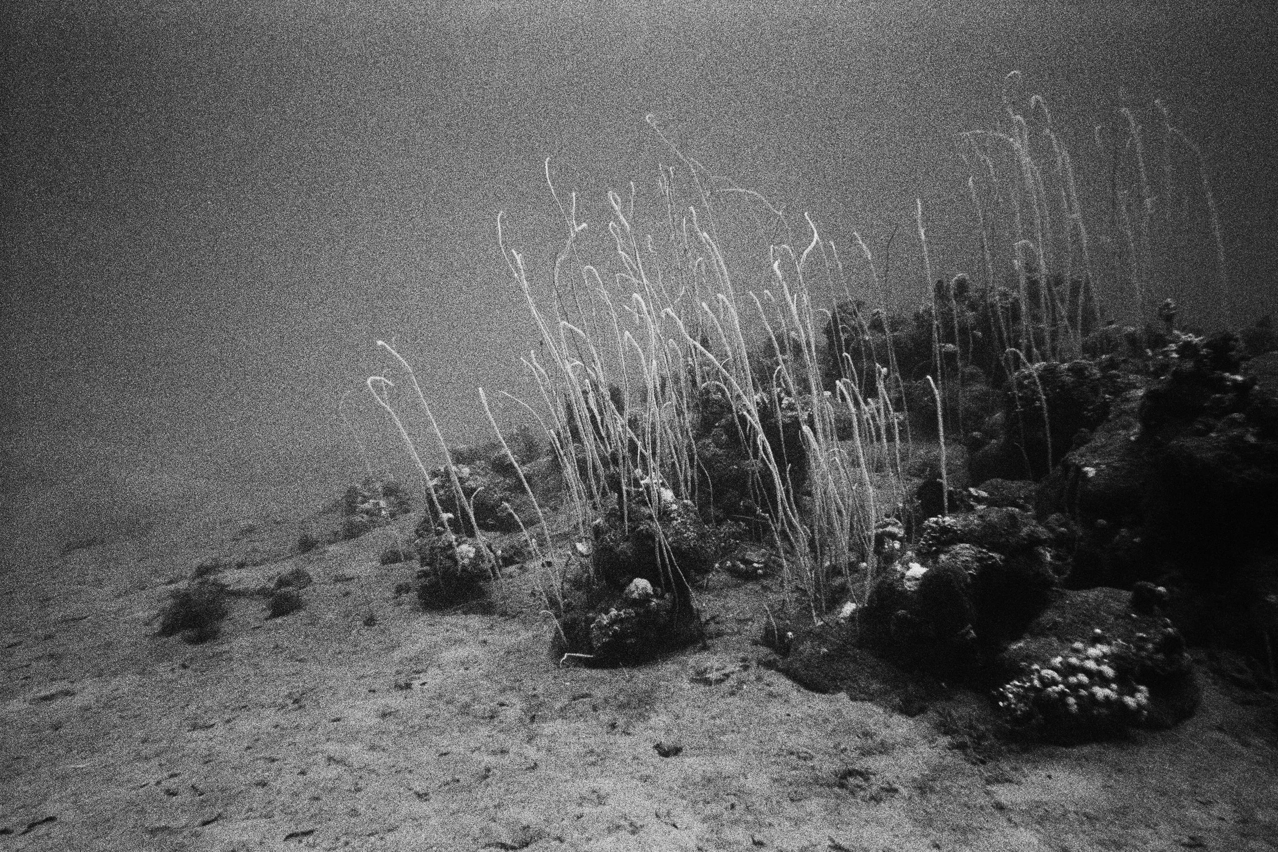 PA_071125 004_P20_PRBaryta_Gray_120x80cm copy.jpg