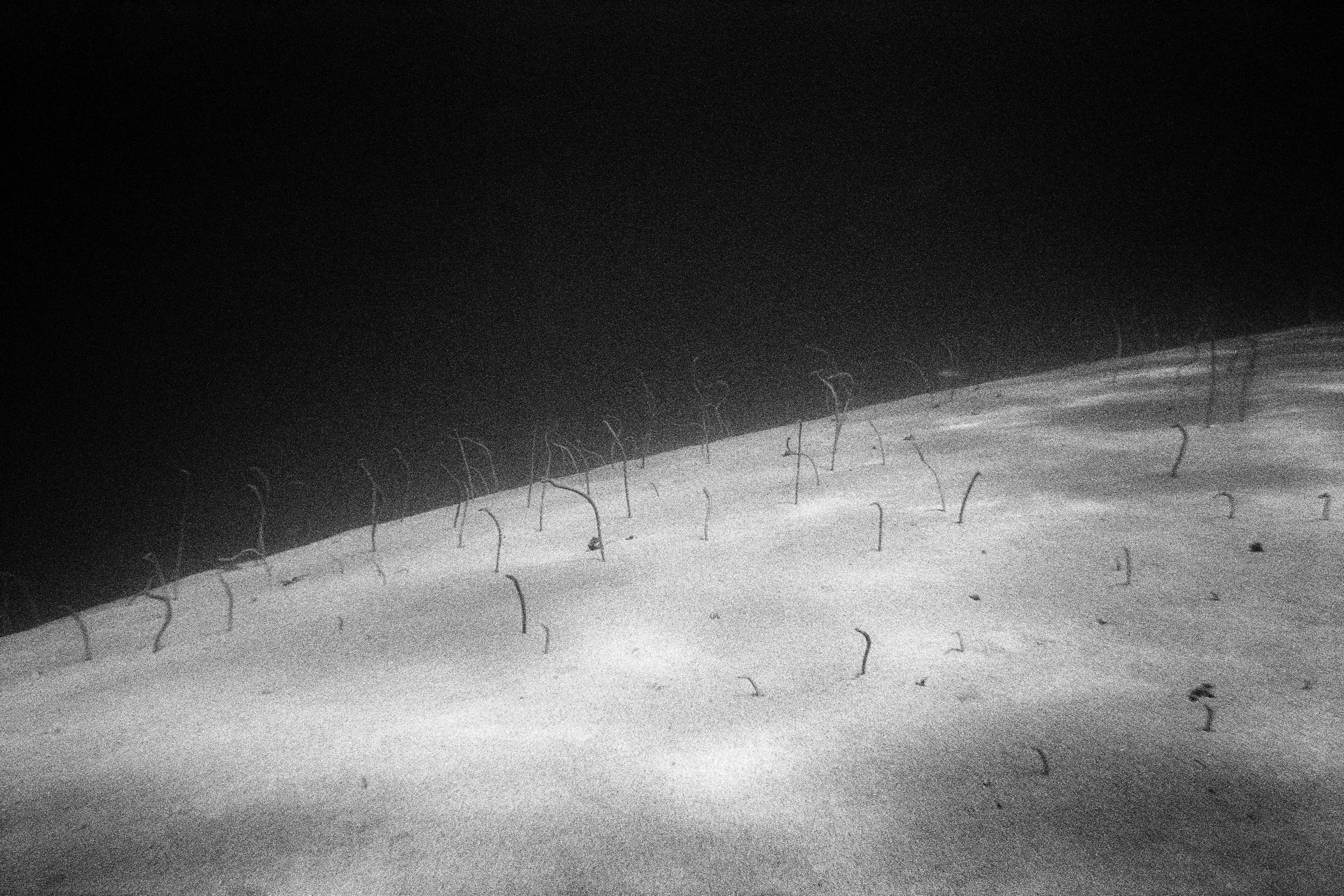 PEDRO_SERTAO_37_P20_PRBaryta_Gray_120x80cm copy.jpg