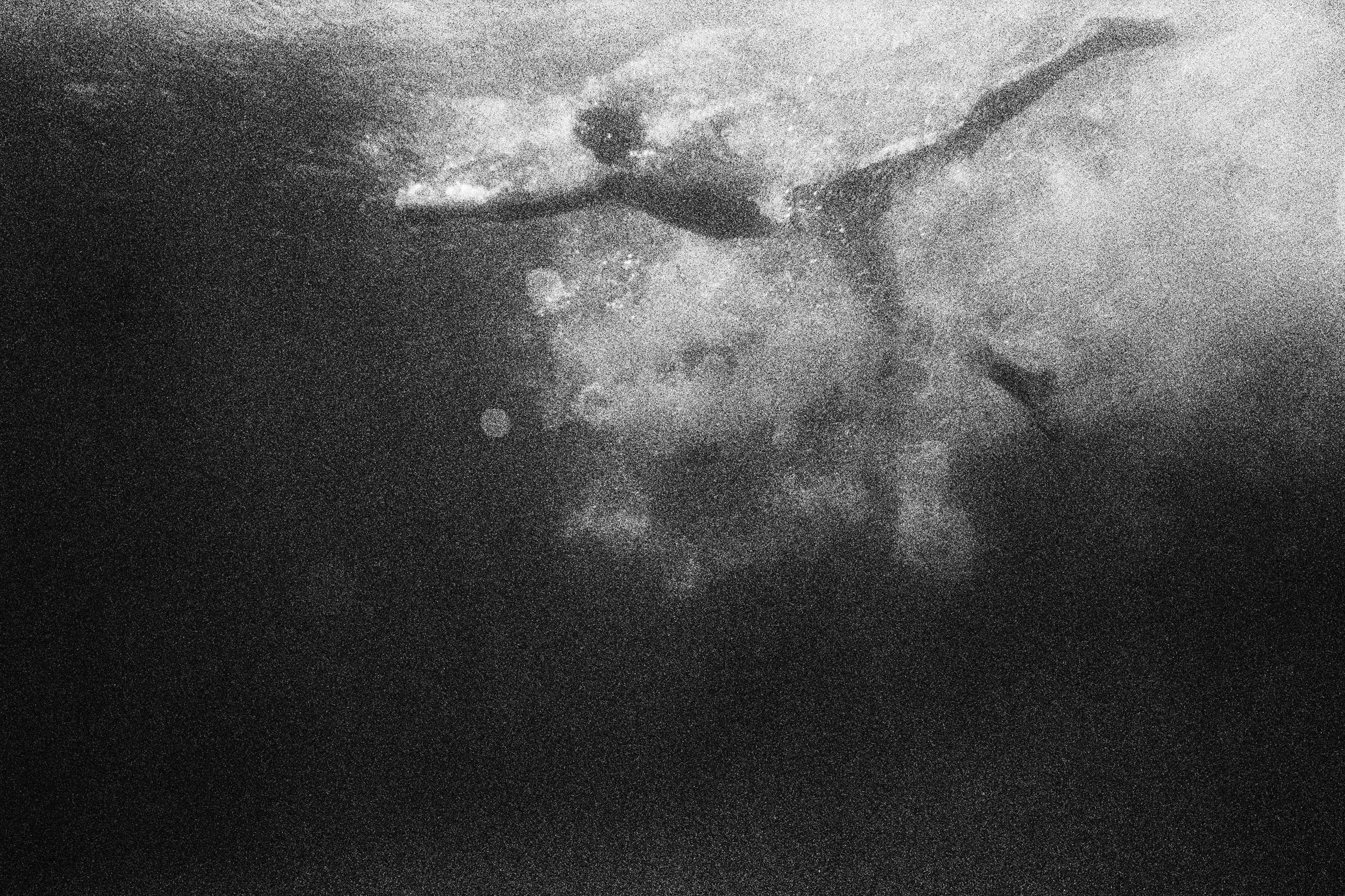 PEDRO_PISCI1_17_P20_PR_Baryta_RC_80x53 copy.jpg