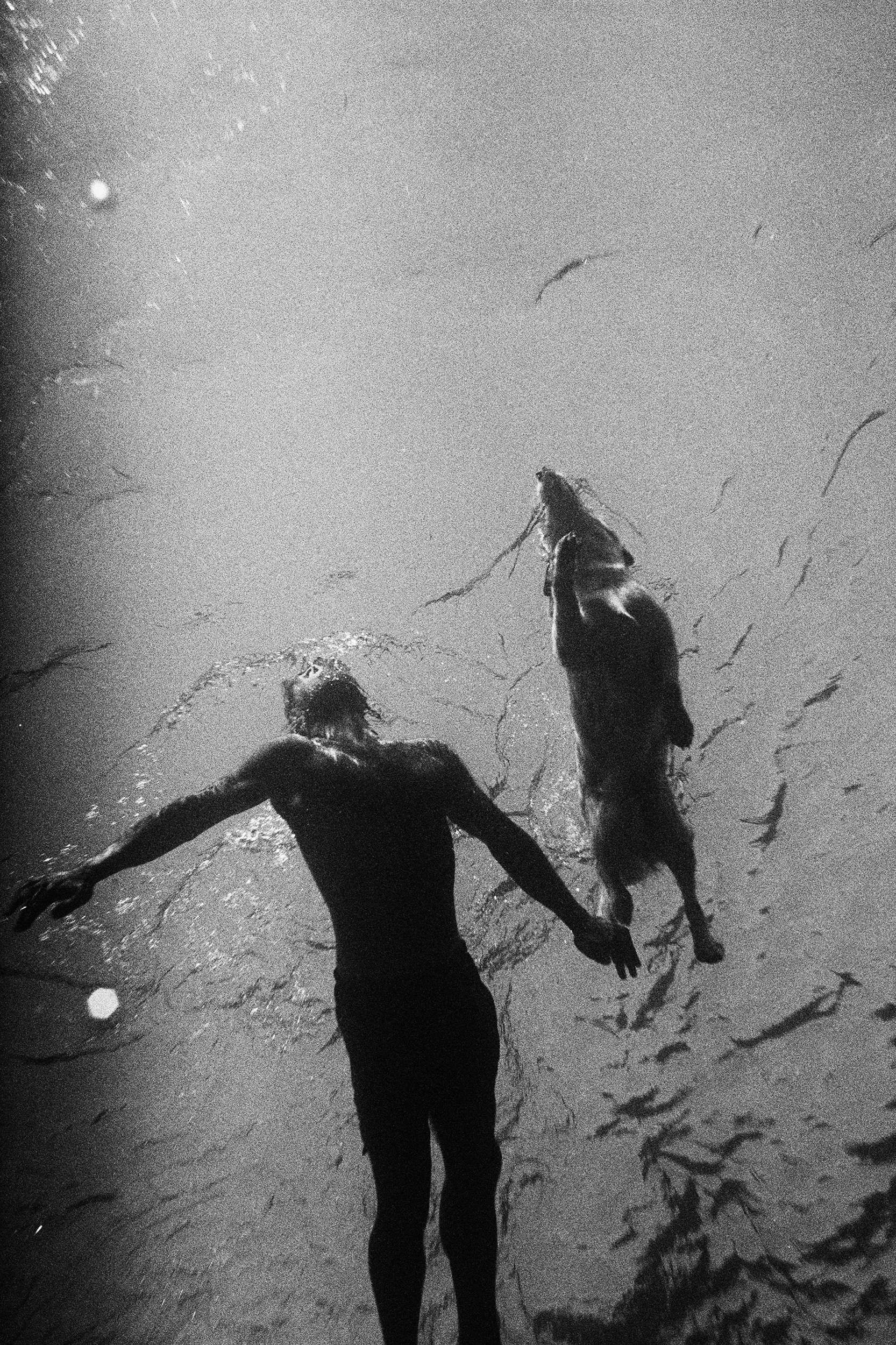 PA_100725 001_P20_PR_Baryta_80x120 copy.jpg