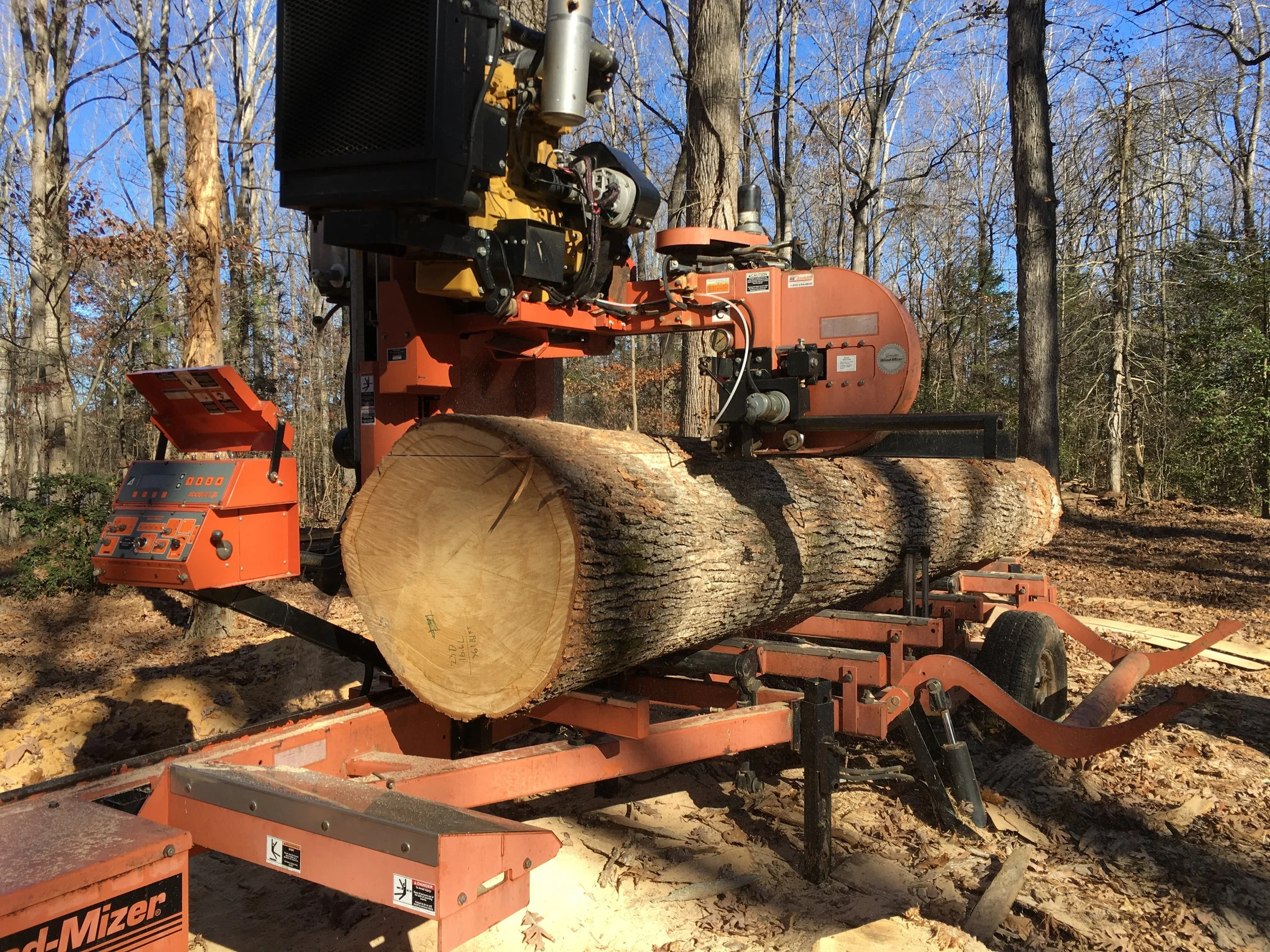Cutting a white oak log into dimensional lumber with the bandsaw mill
