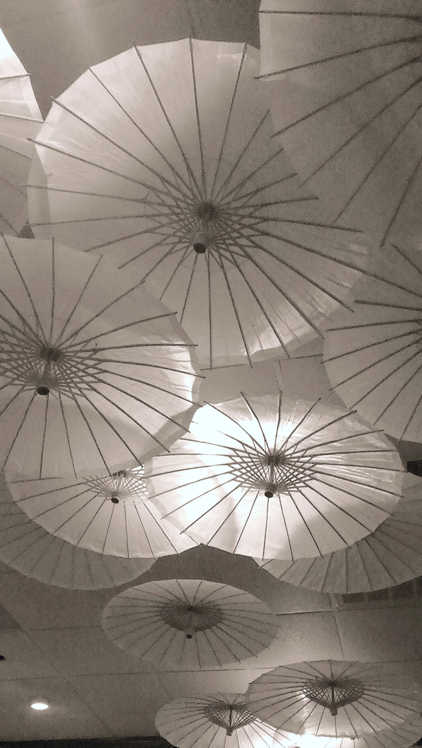 IMAG0748-2-1.jpg