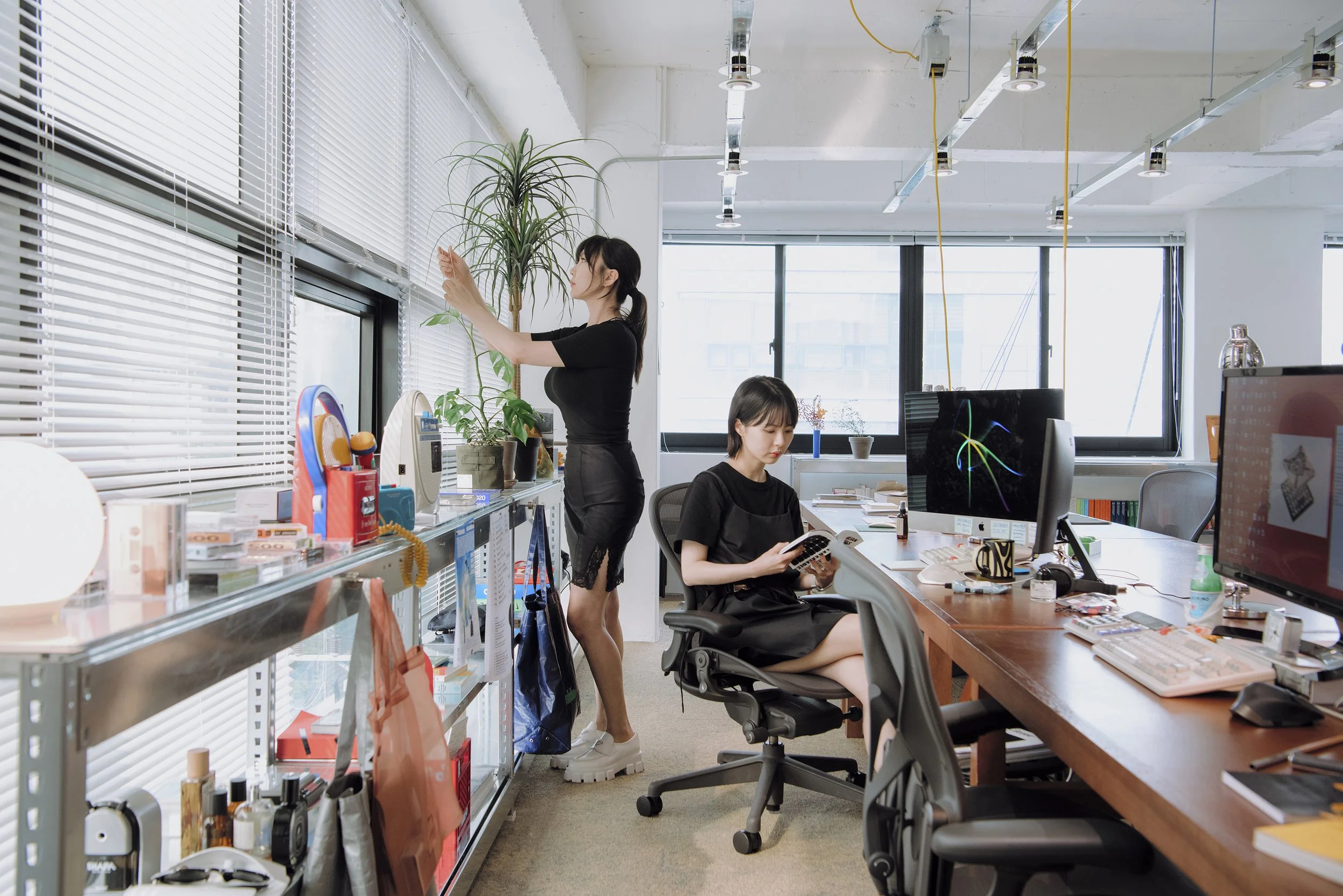 MHTL, Mat-Kkal-Son & Park Lucky (Copy)