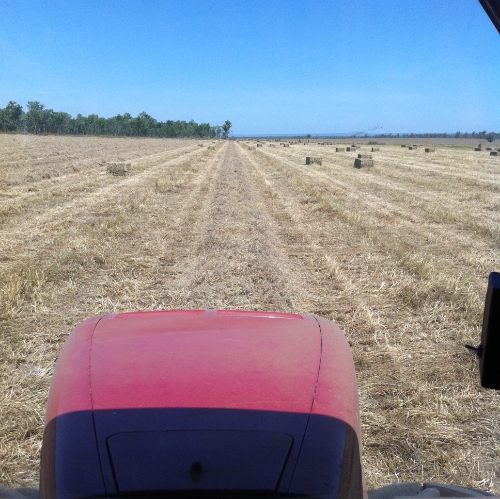 Photo- production of hay under way from the baler machine
