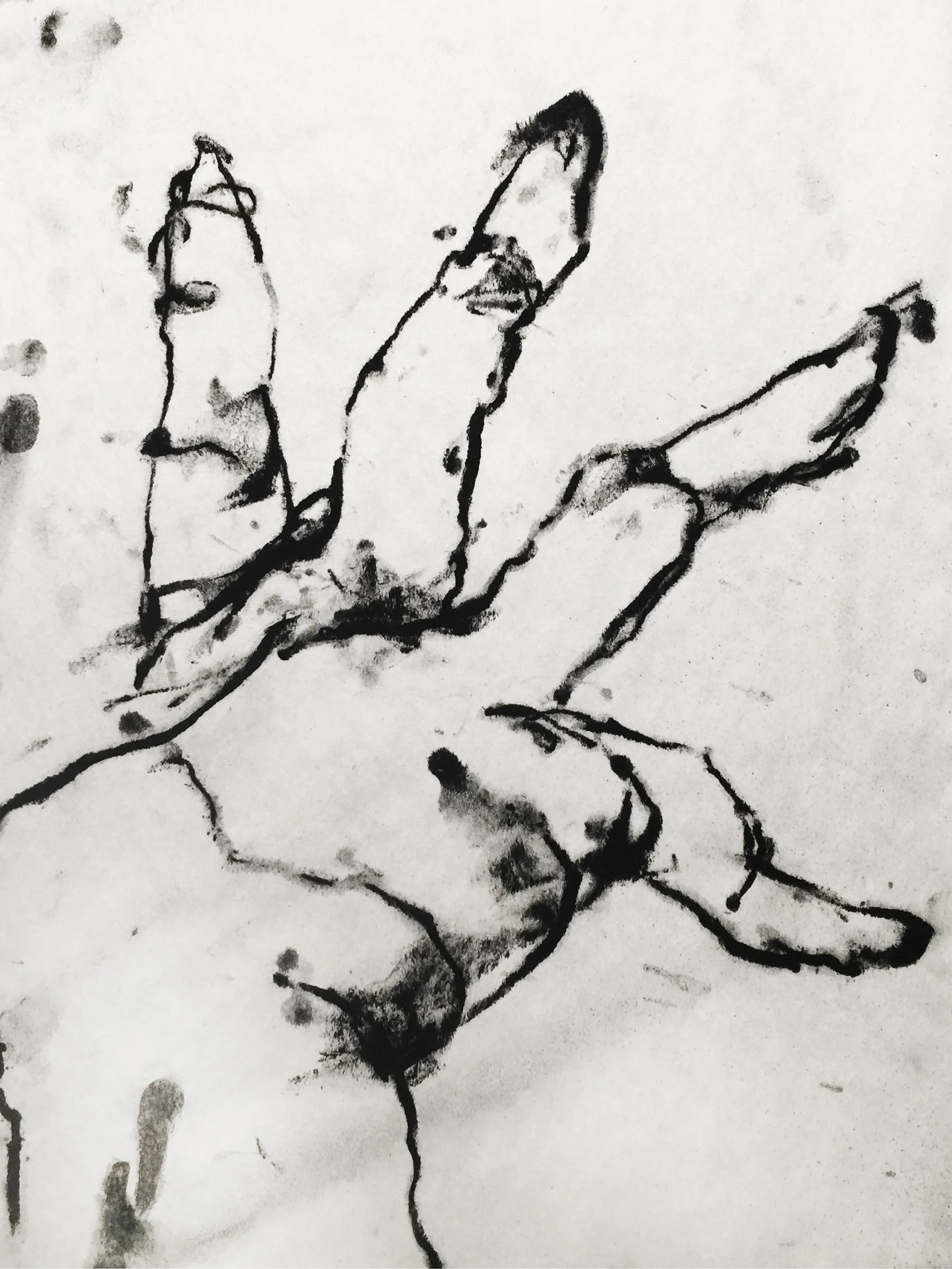 Charcoal on newsprint 2015