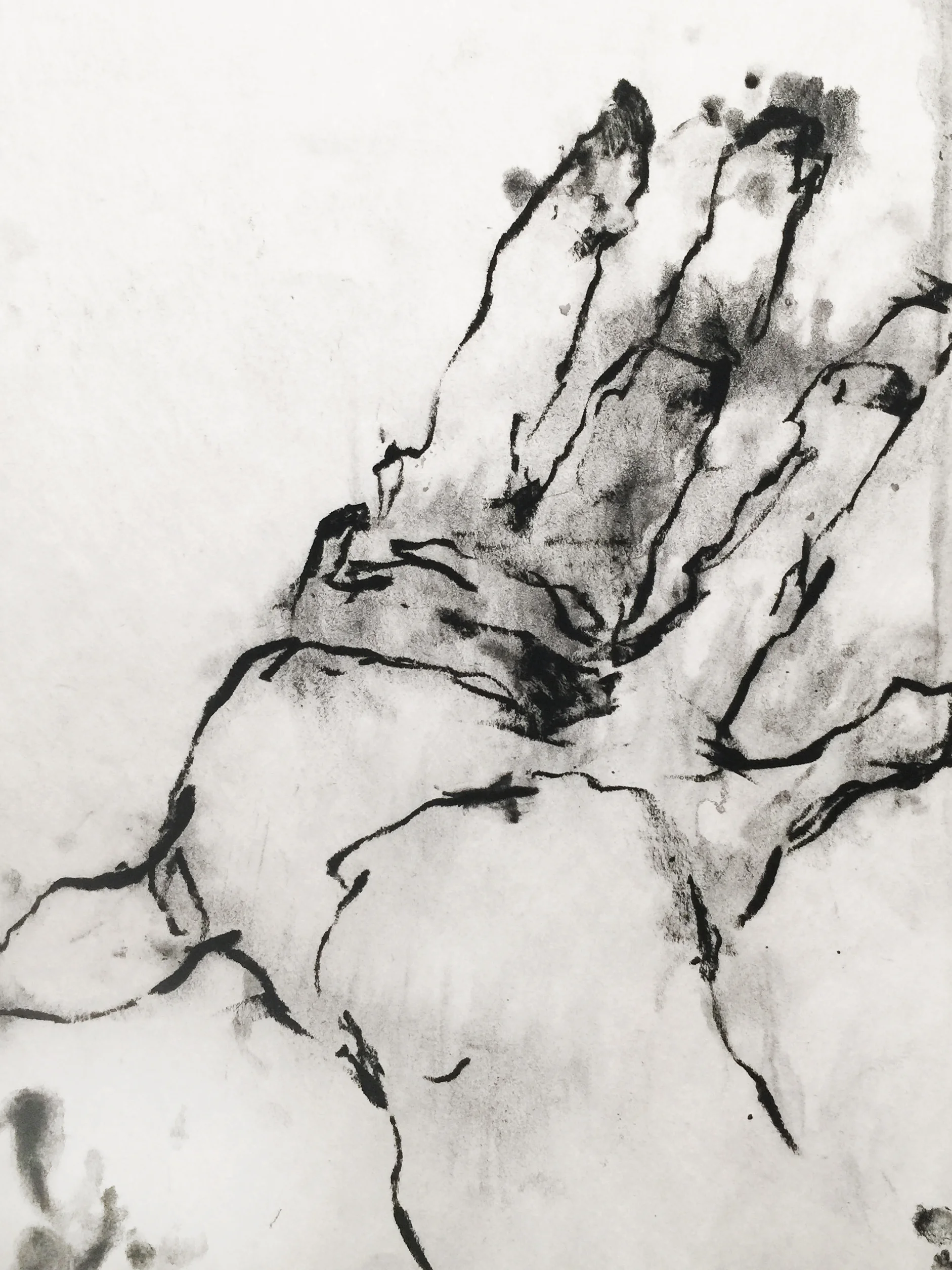 Charcoal on newsprint 2015