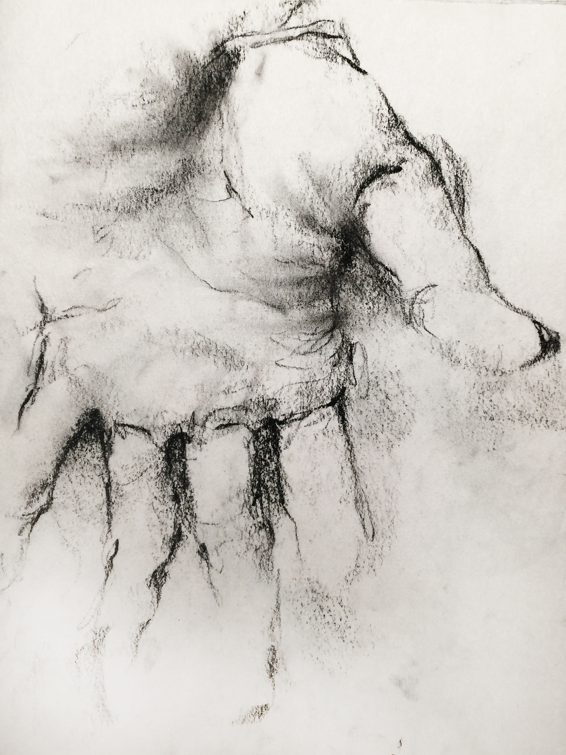 Charcoal on newsprint 2015