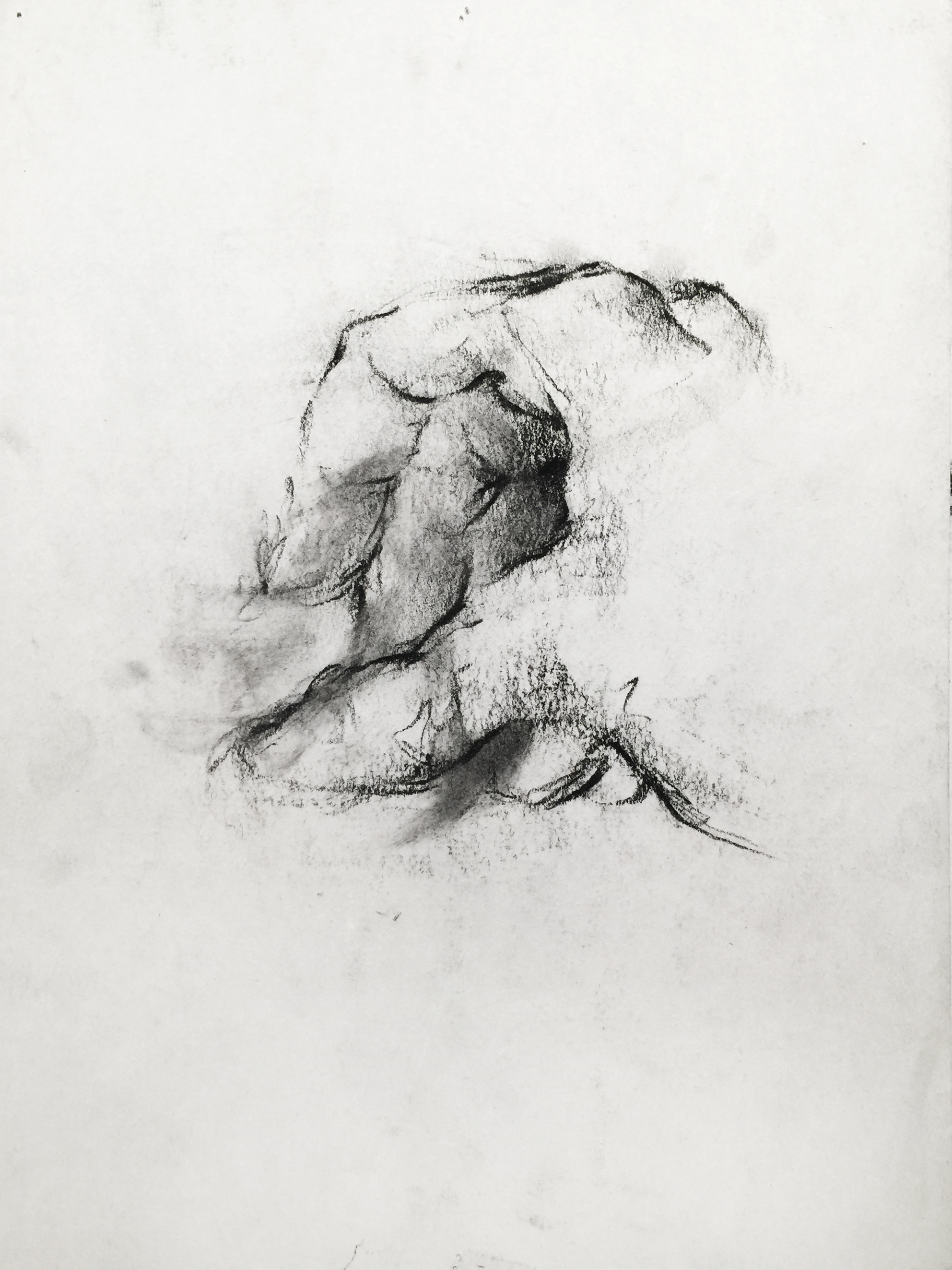 Charcoal on newsprint 2015