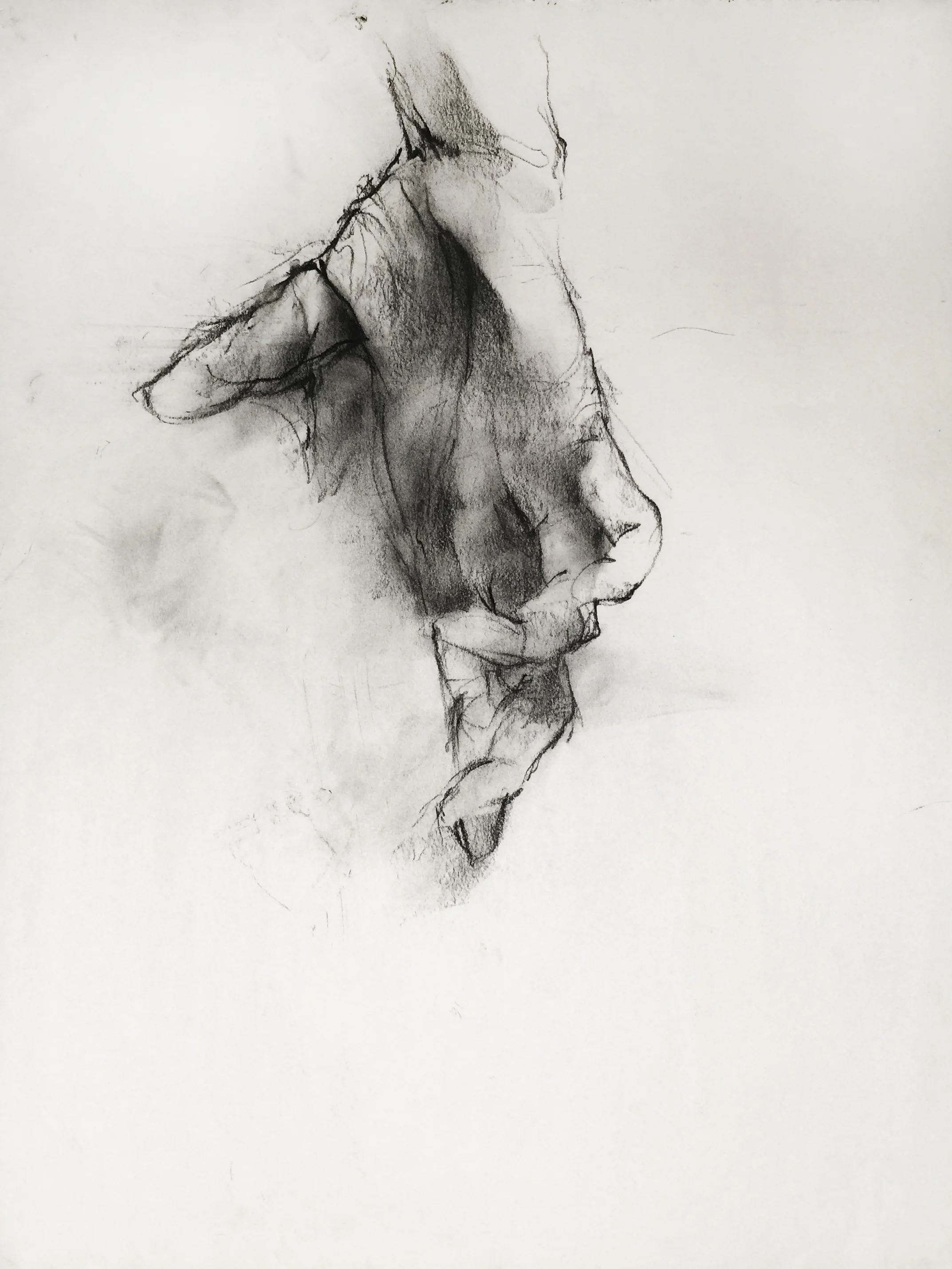 Charcoal on newsprint 2015