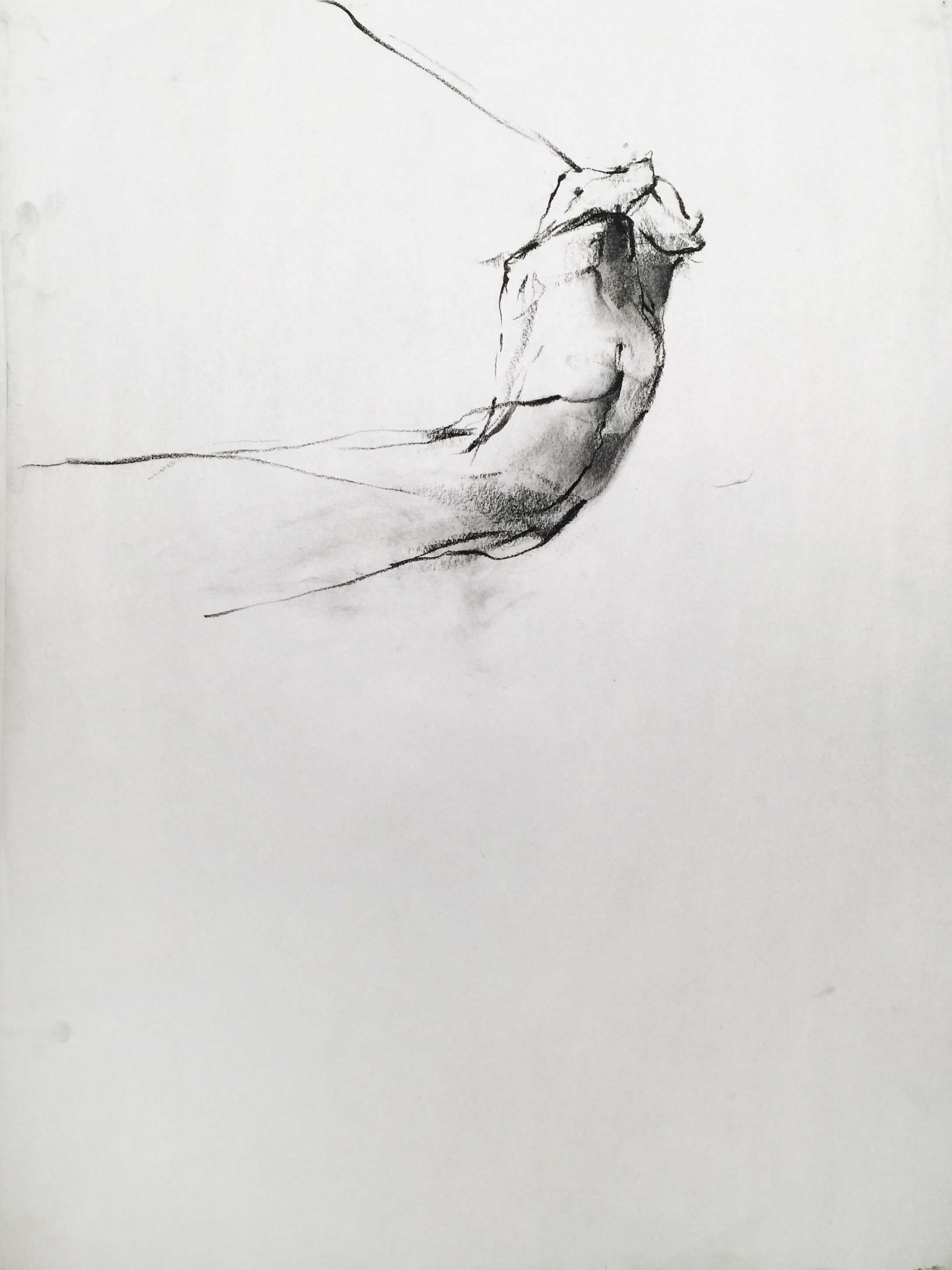 Charcoal on newsprint 2015