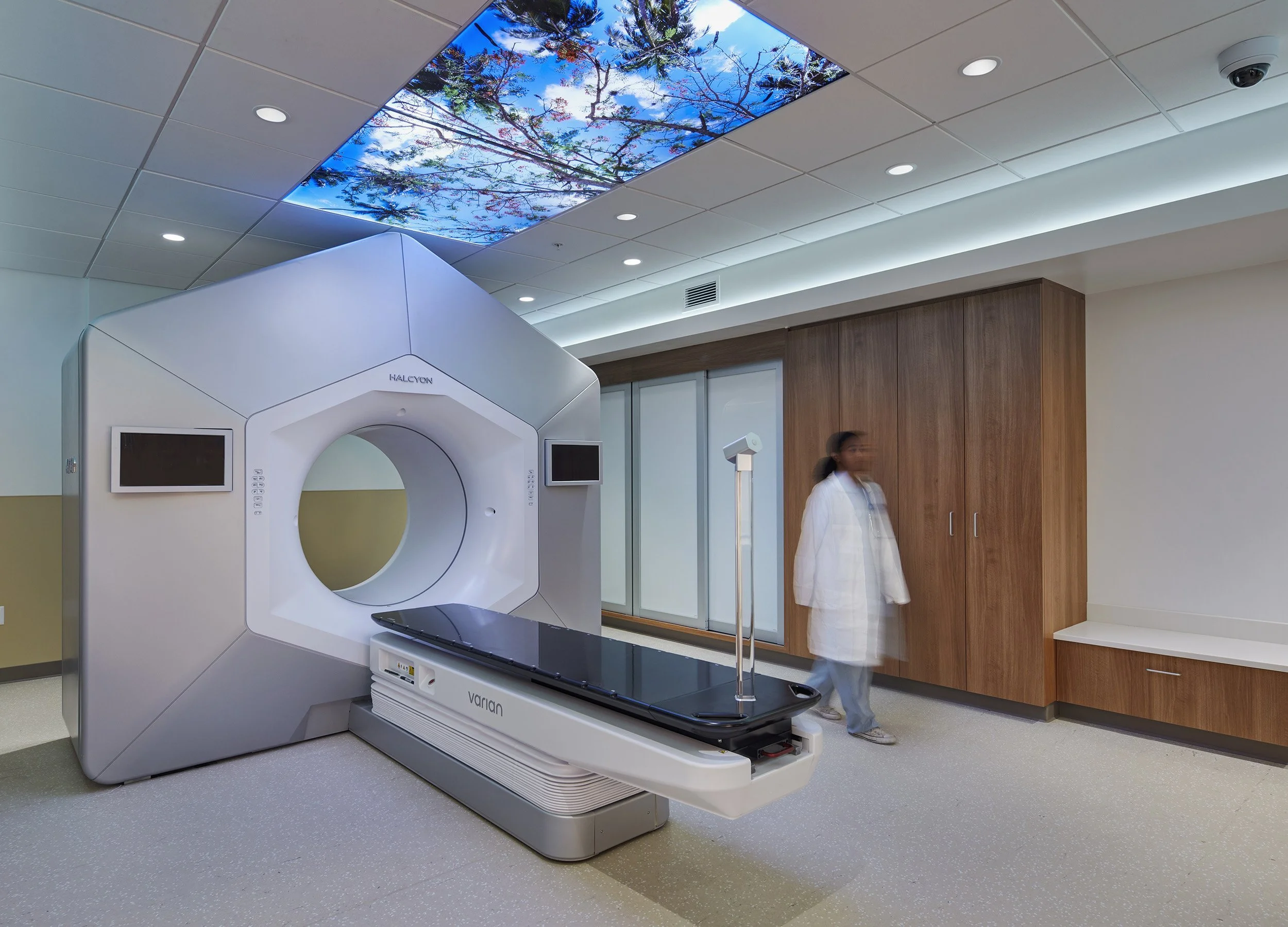 CAT-Scan_7545.jpg