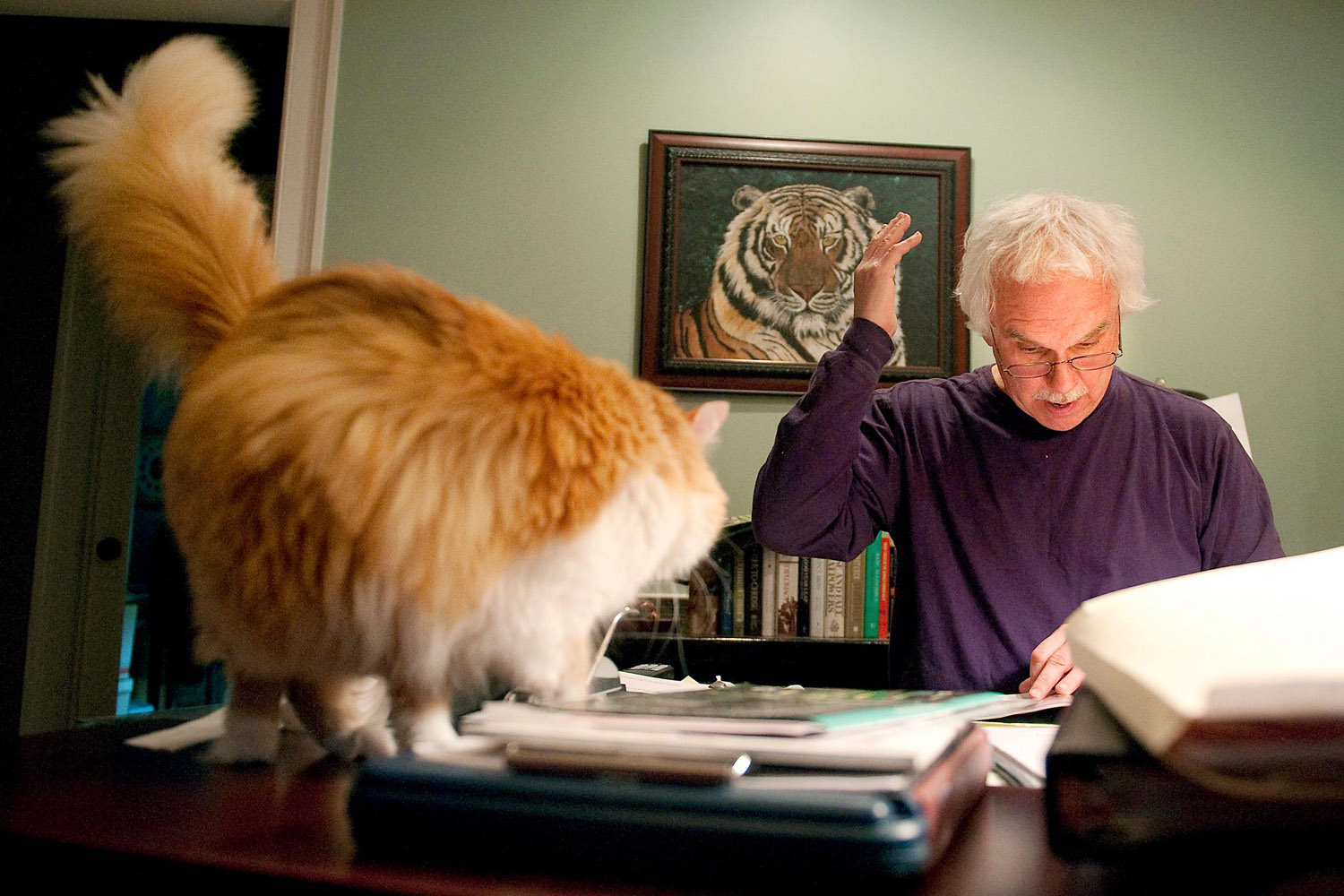 A man and cat at a desk