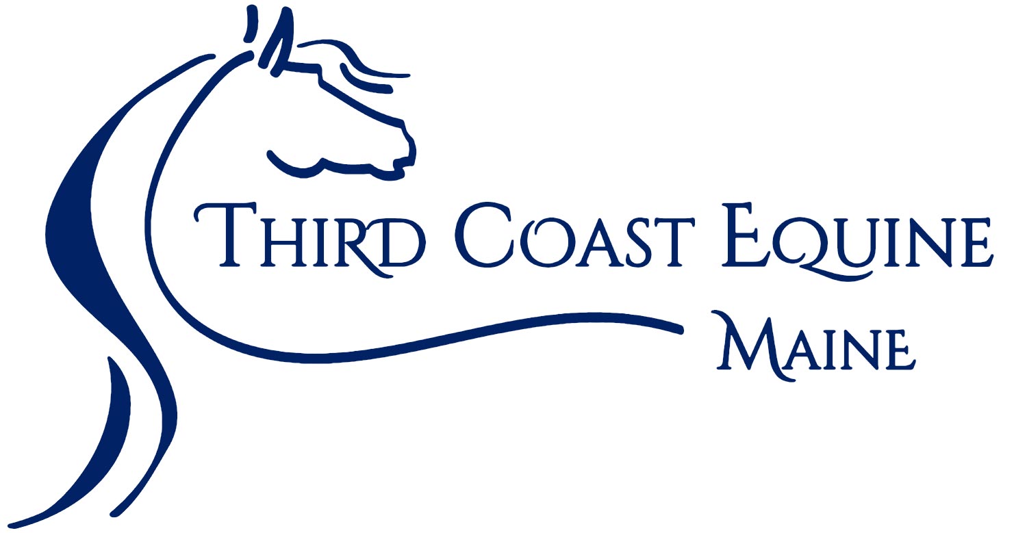 Third Coast Equine