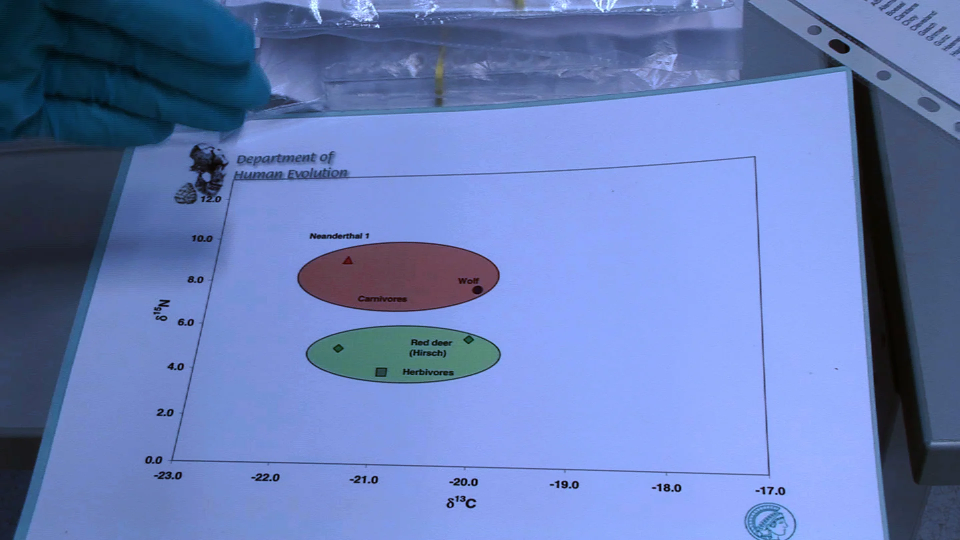 Unexpected Treasure: The Authentic Human Diet