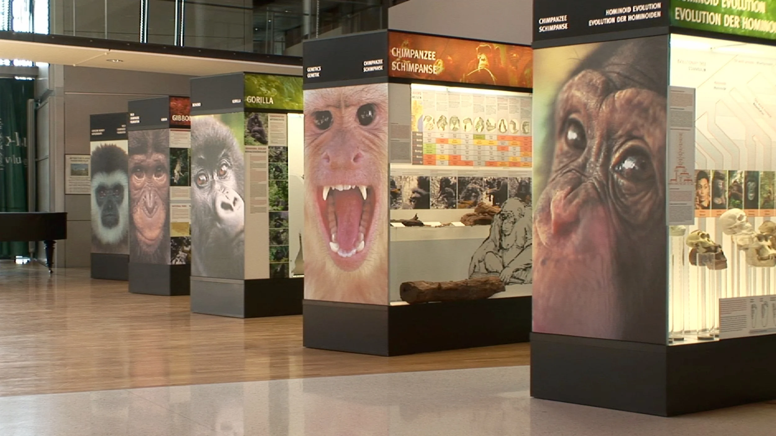 Lobby of the Max Planck Institute for Evolutionary Anthropology