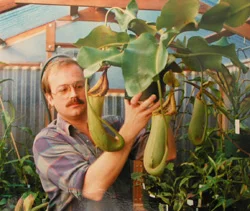 Peter D'Amato