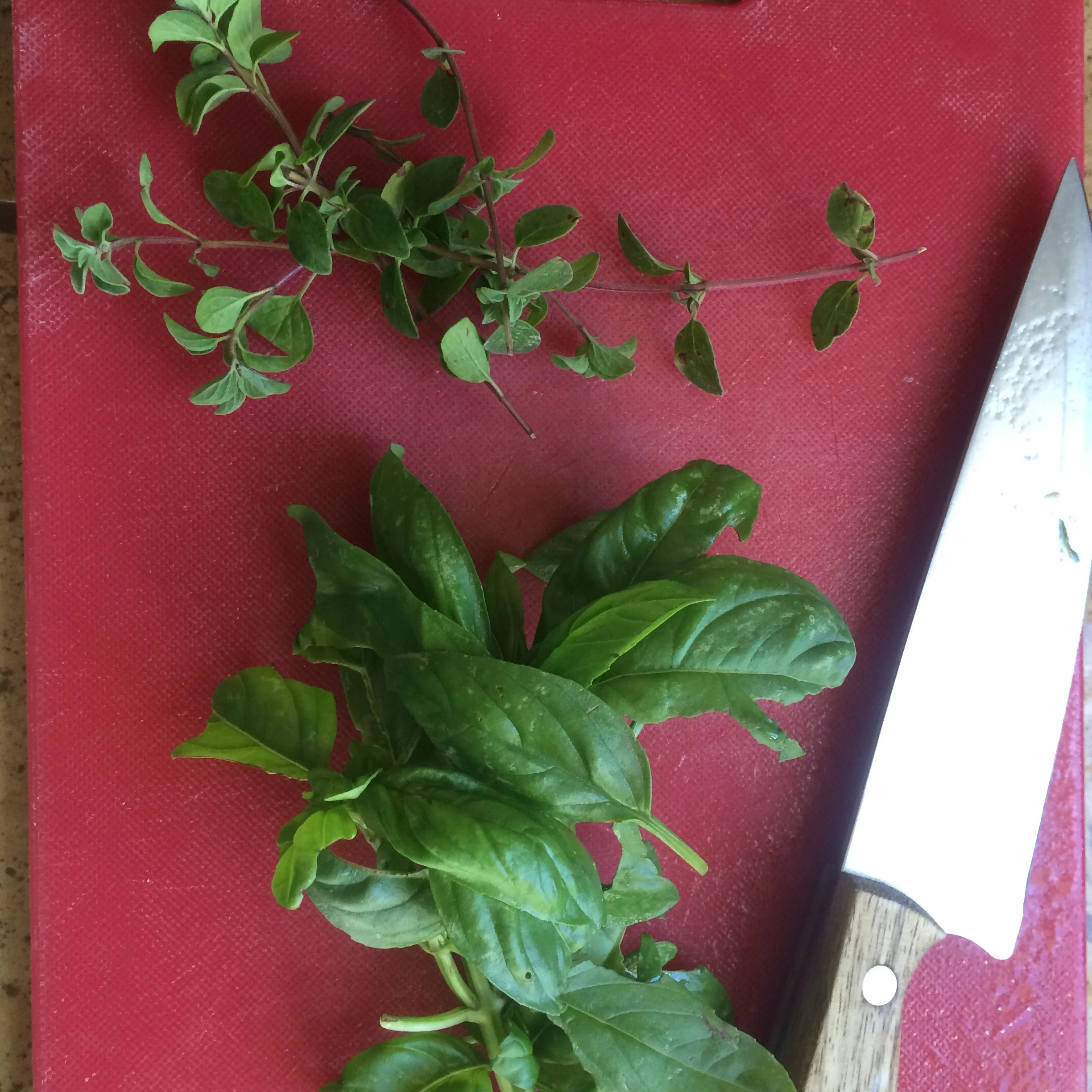 Wash and finely chop the fresh oregano and basil.