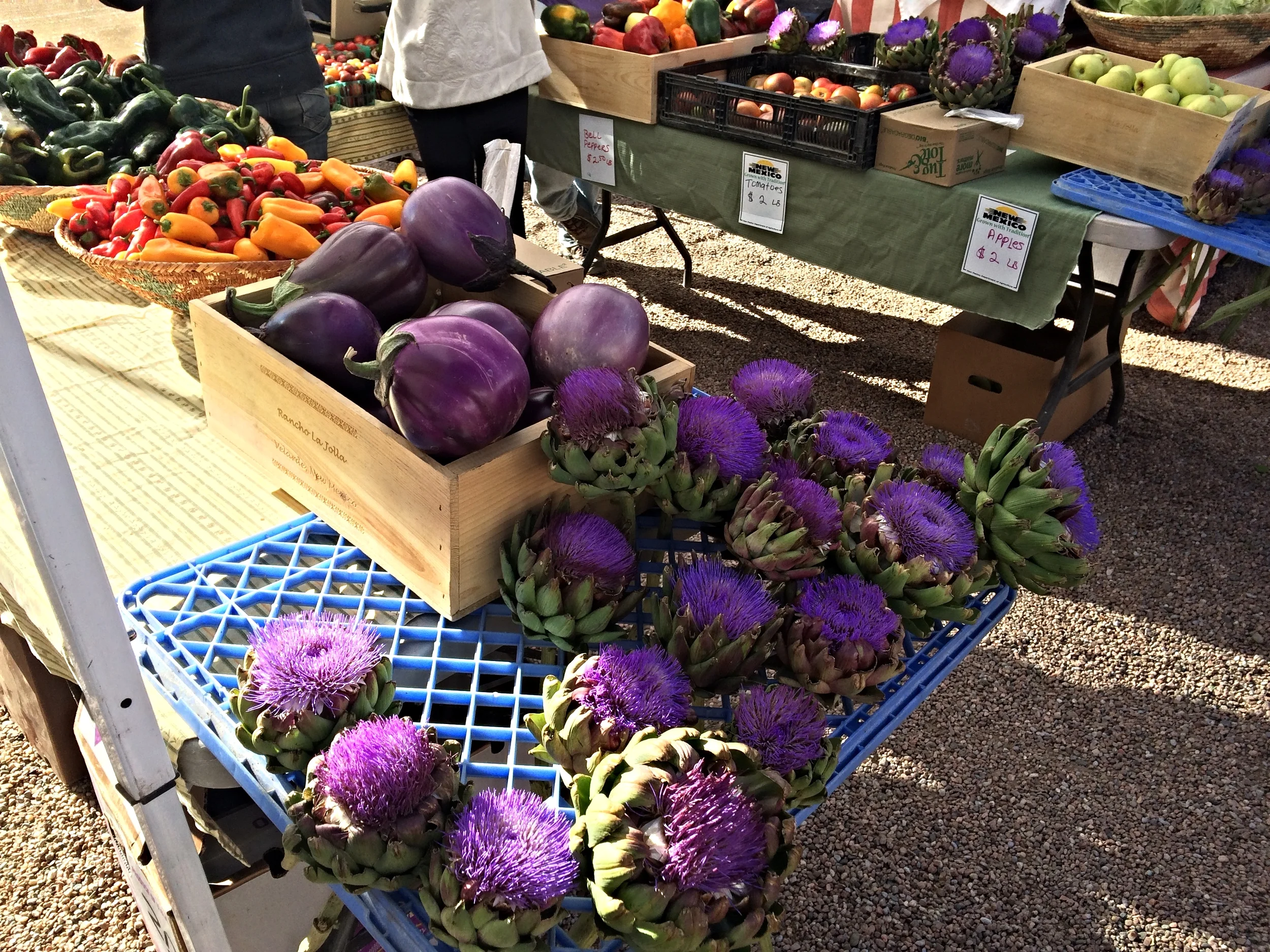 Why modern Humans should Eat Seasonally