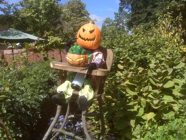 BOO!! Happy Halloween Weekend & Diving Deep on "Paleo" with Robb Wolf (Podcast)