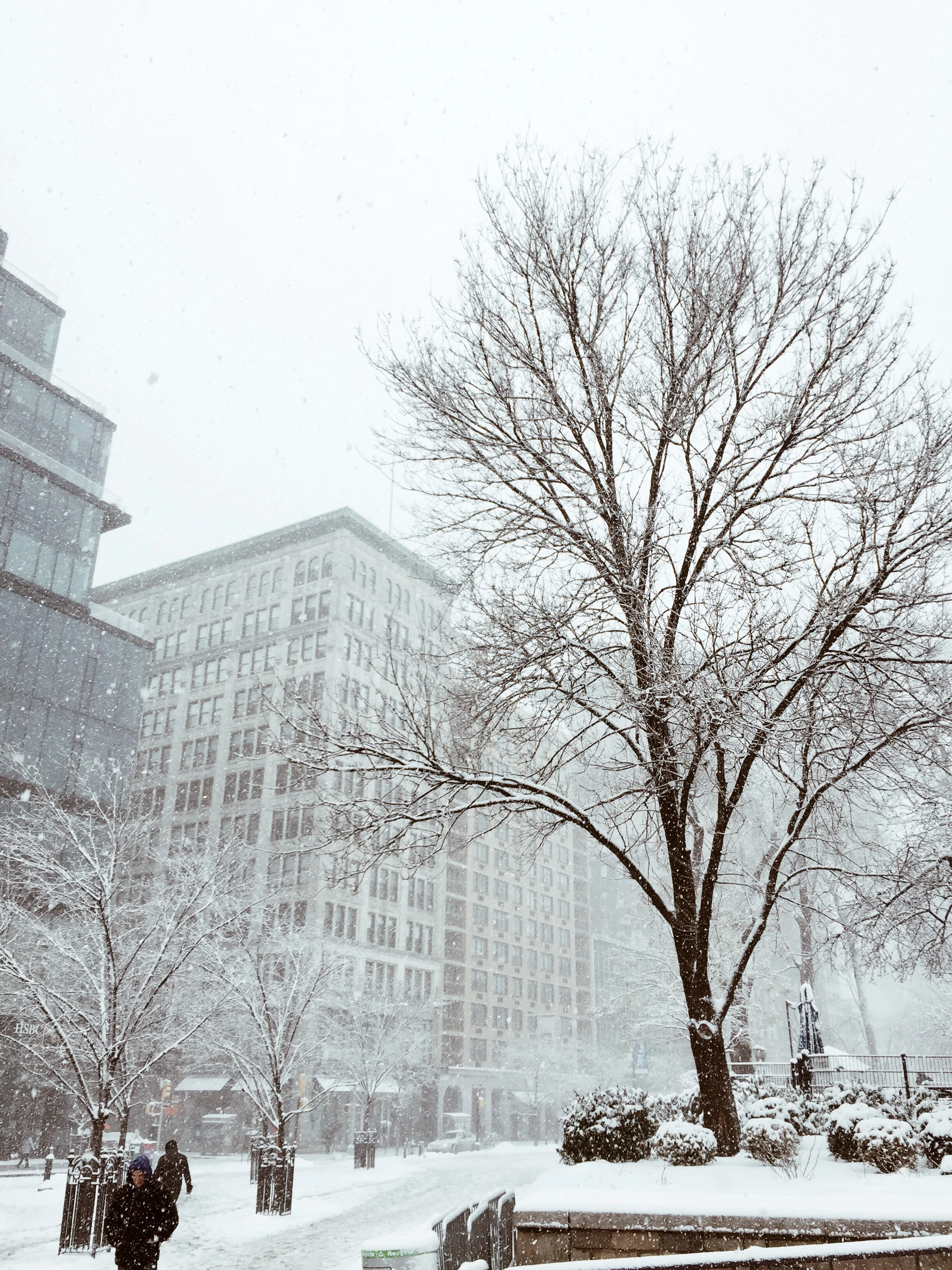 The Art of Snow
