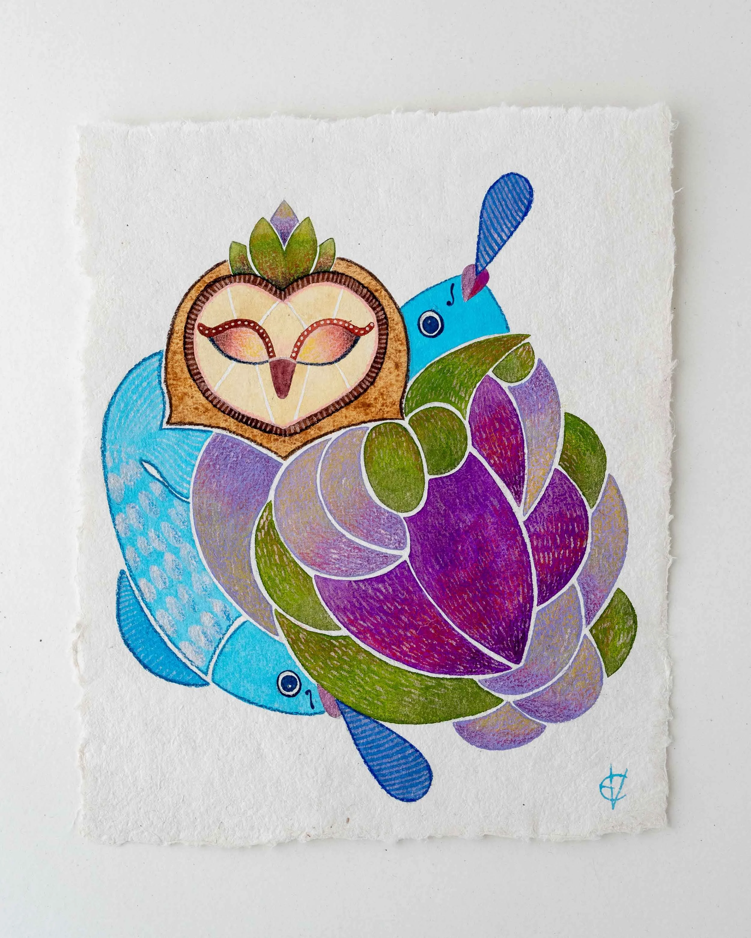 Sunshine and The Fish