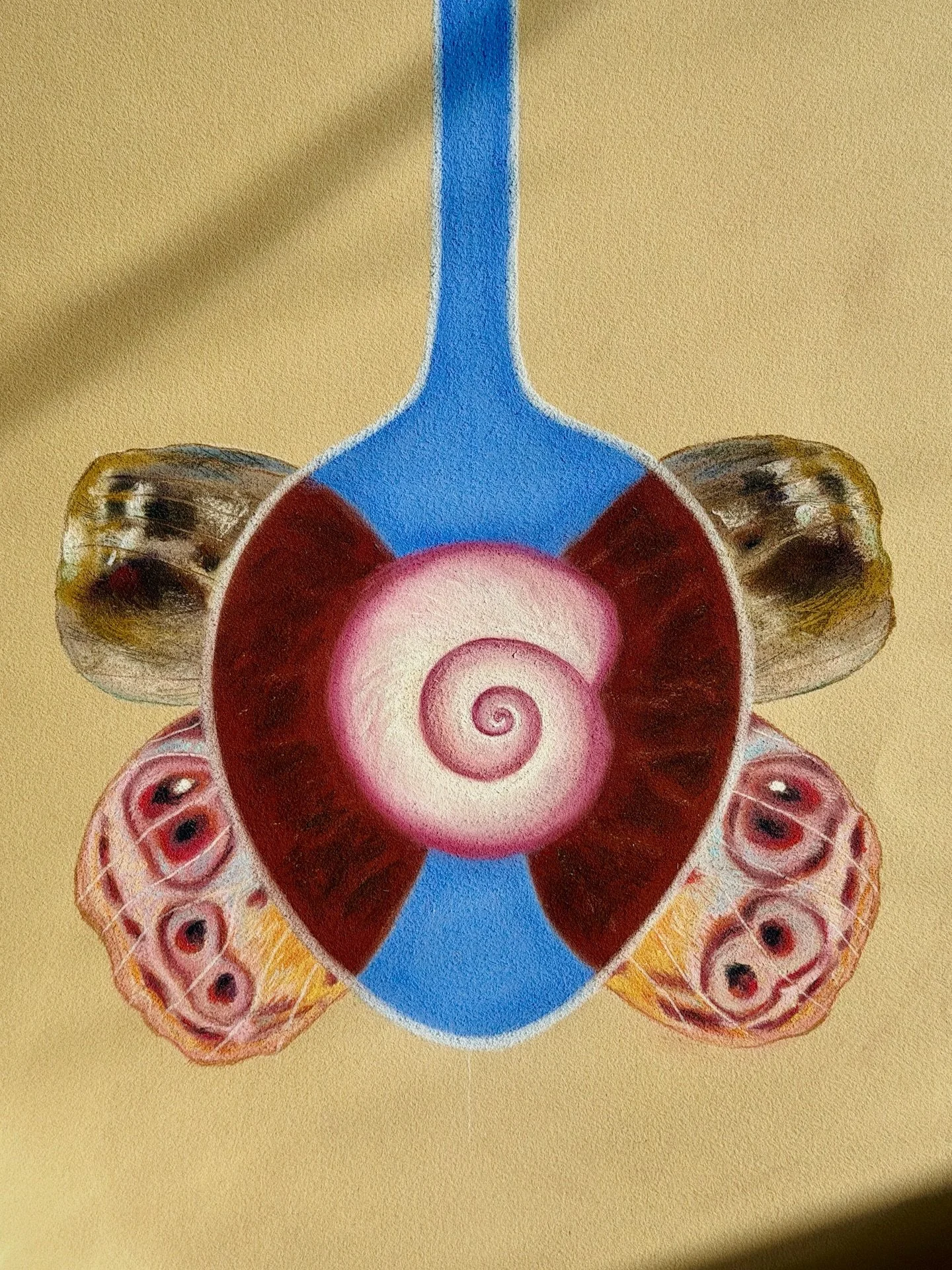 Shadow Side ✨
soft pastel on paper 
March 2026