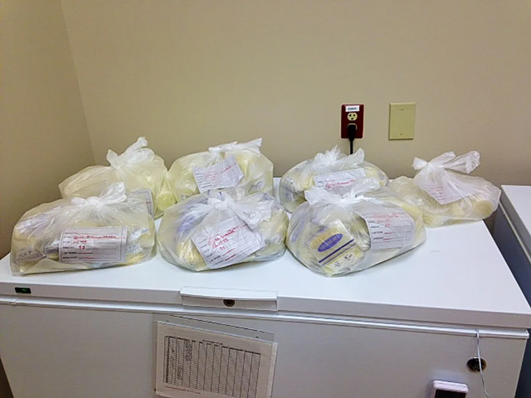 Donated 4.6 gallons of breastmilk 2013 Image by Brooke Carter, OhioHealth Mothers' Milk Bank