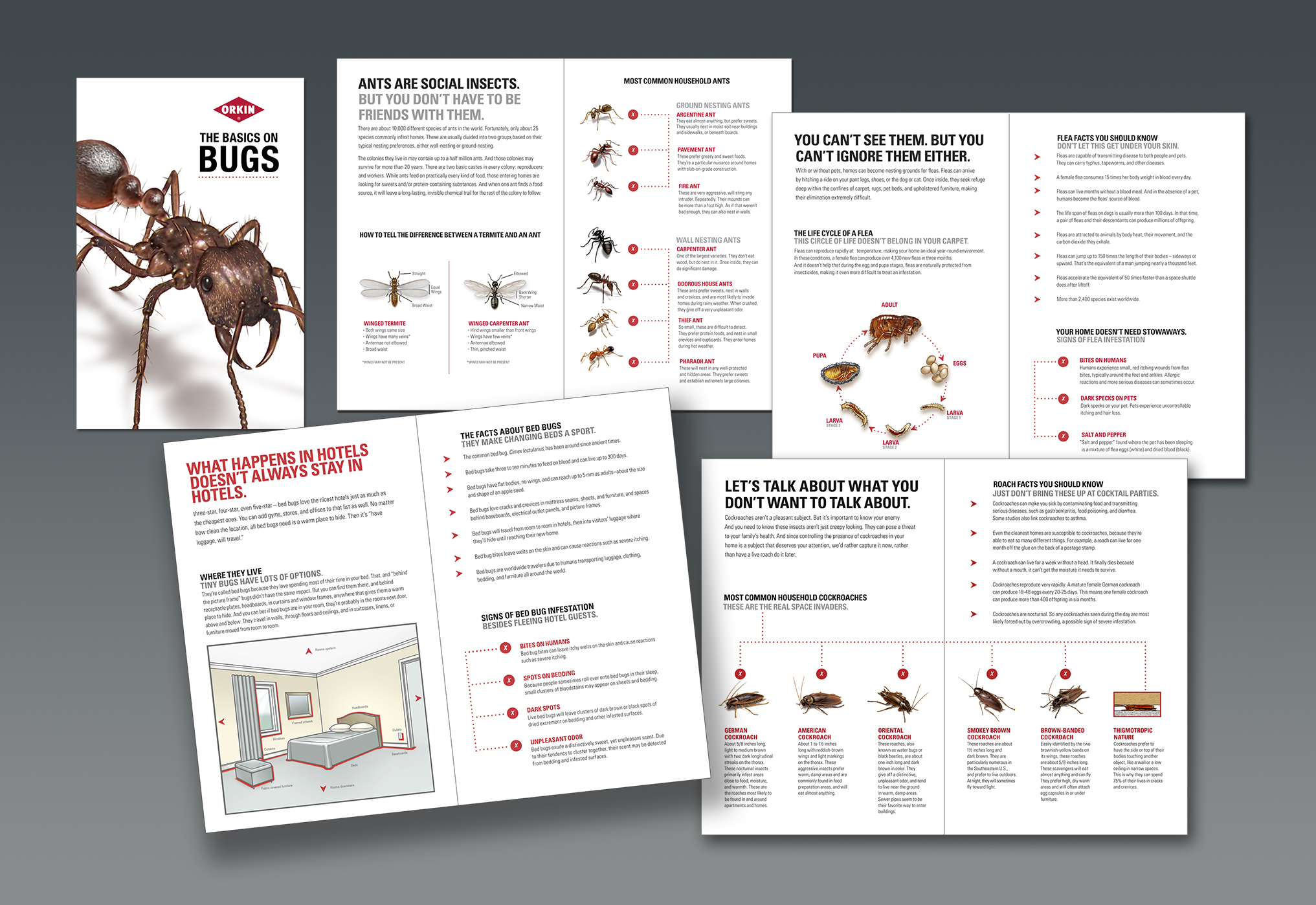 The bug and rodent chart at left is fully illustrated by myself. I then took the liberty of decorating it with some of my other pest illustrations who were feeling left out. The good people at the Richards Group in Dallas have continued to recruit me for illustration work for their myriad brochures and other print collateral they produce for Orkin. My illustrations are sprinkled throughout the Orkin website as well. I'm comfortable doing a wide variety of illustration styles, both raster and vector, as well as extensive photo retouching work. 