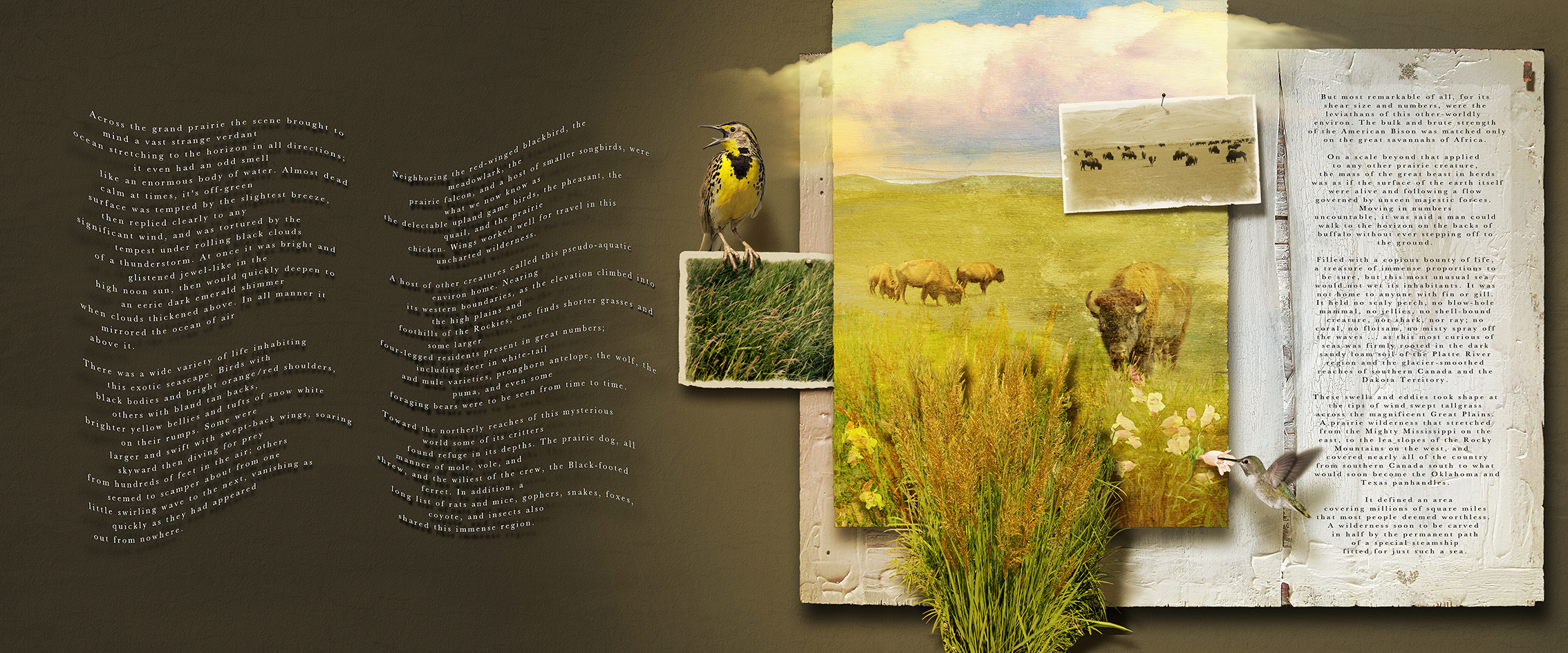An early spread in the book, in this portion we attempt to capture the essence of the vast American prairie in my brother's prose and my artwork.