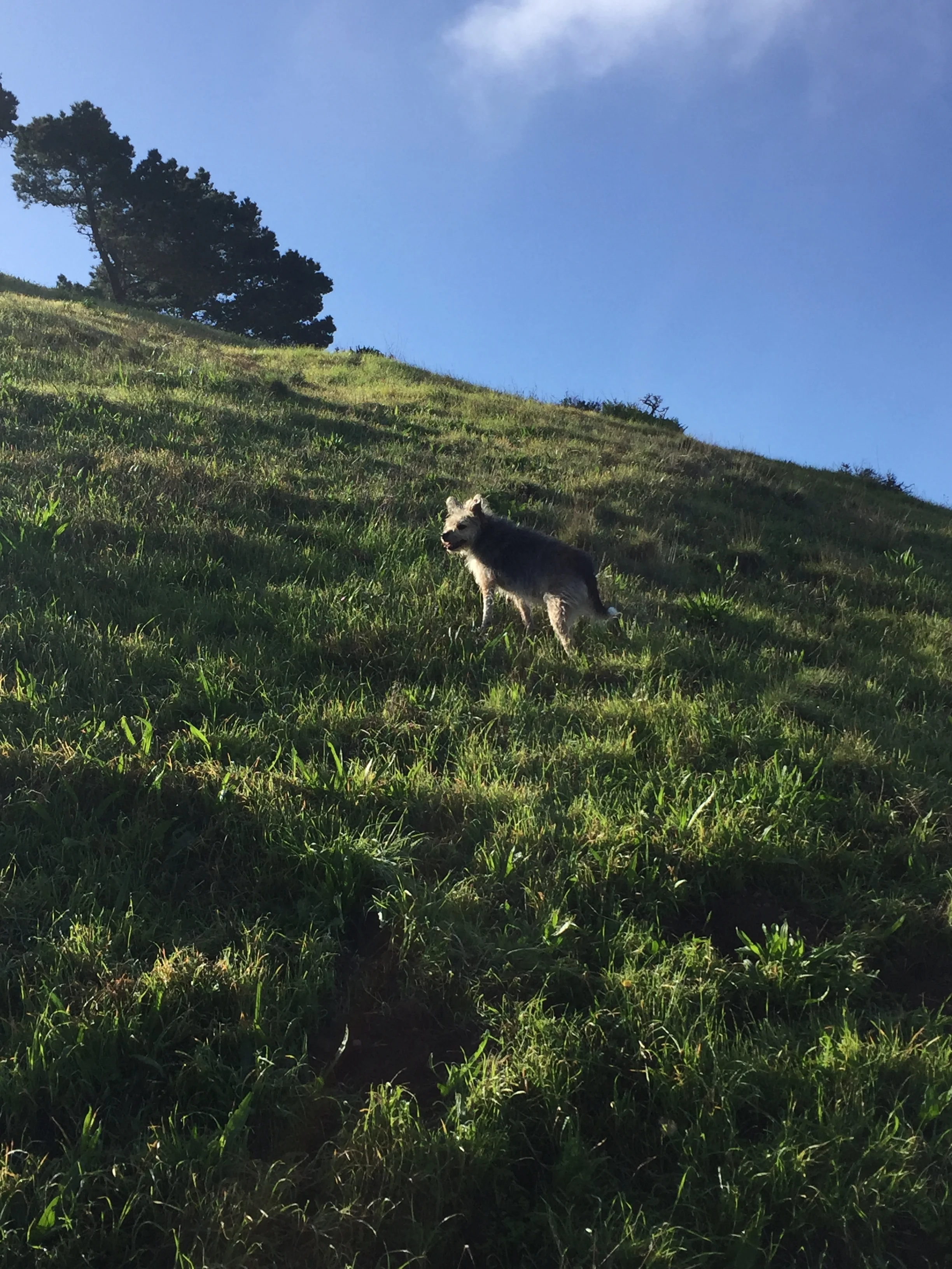 Make the World Small