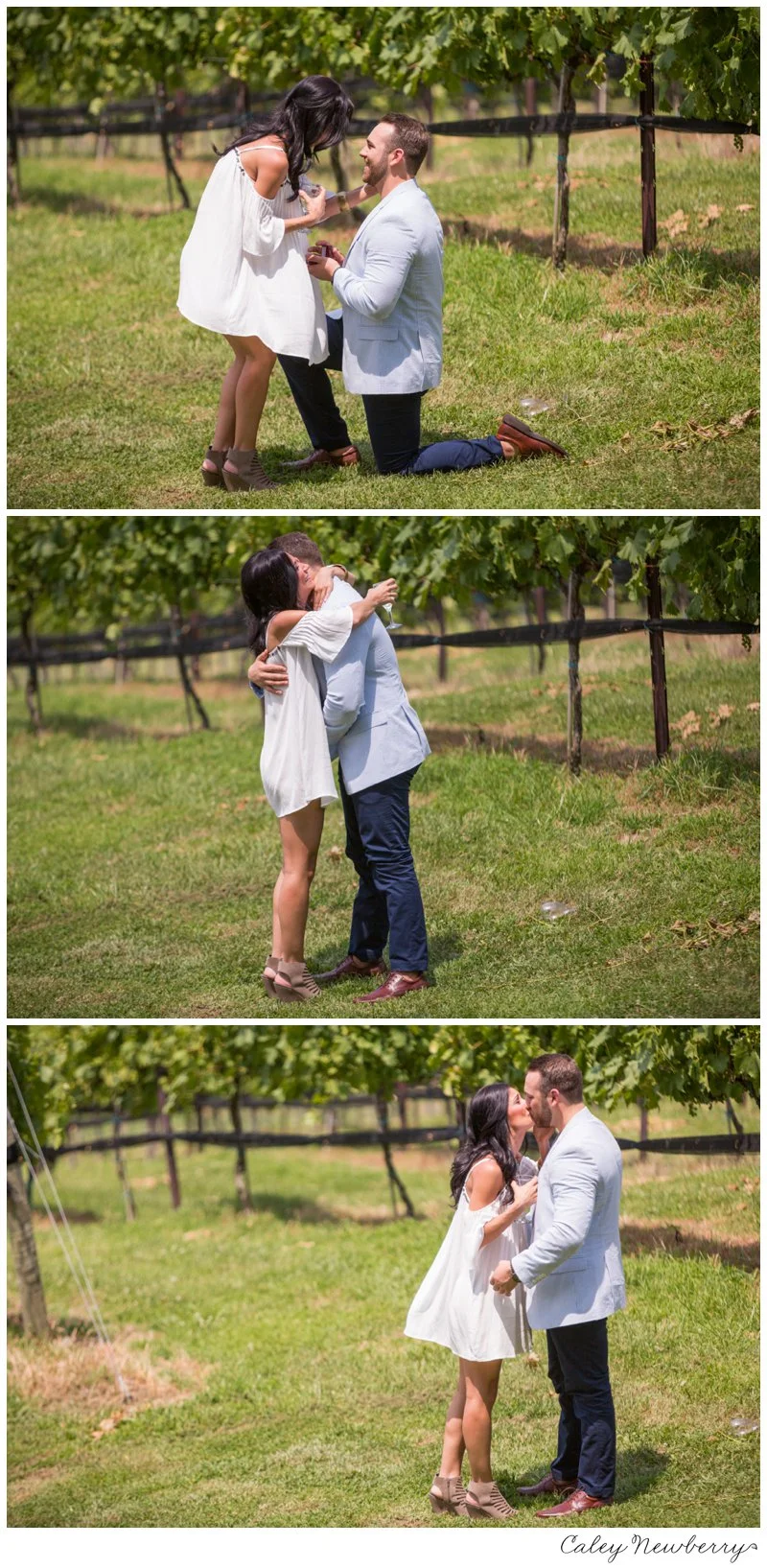 arrington-vineyards-nashville-tn.jpg