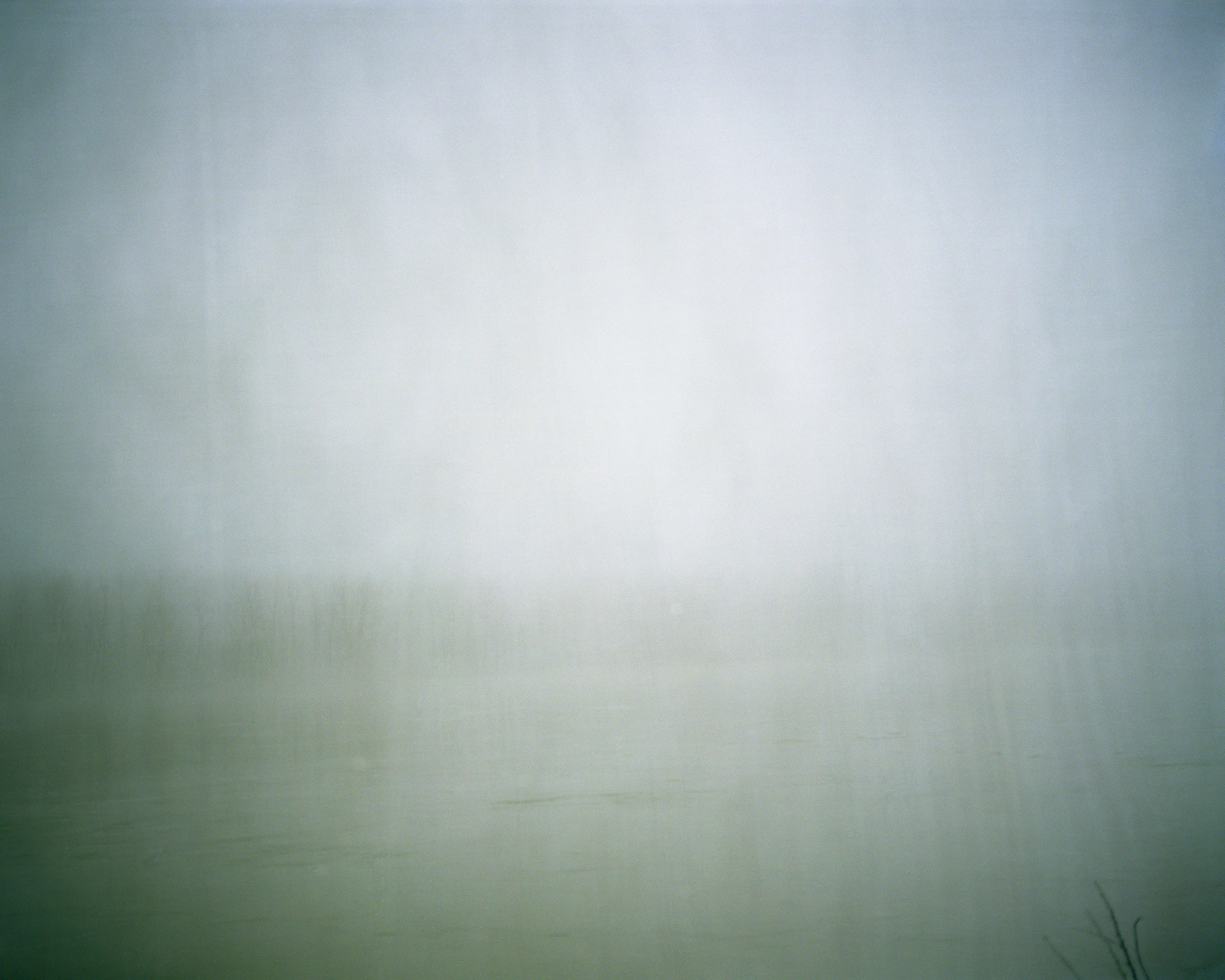 Fieldwork (Silver and Brown), 2012 Digital C-print, 40 x 50 inches